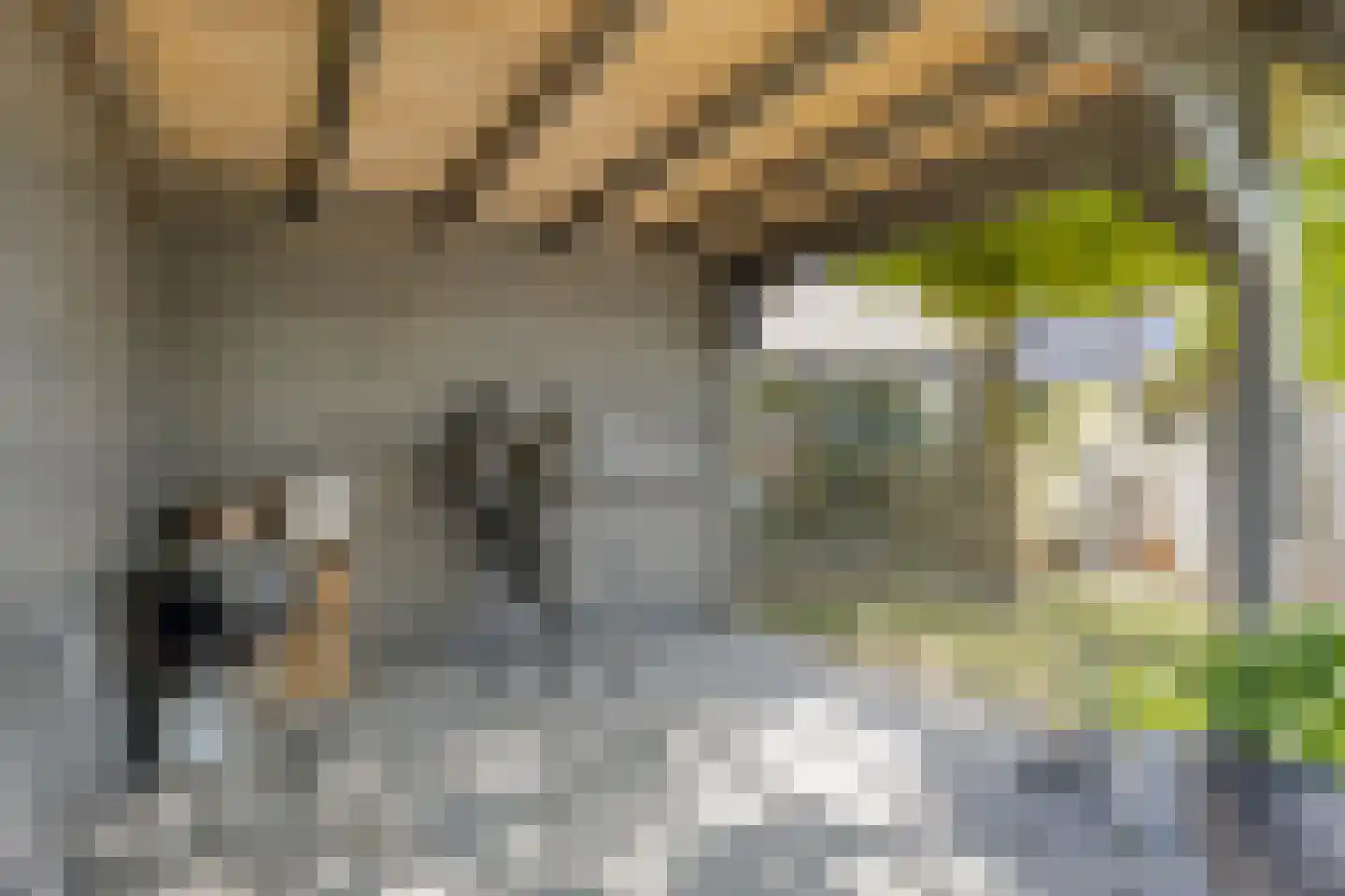 Voorderstraat 1 Riethoven thumbnail 49
