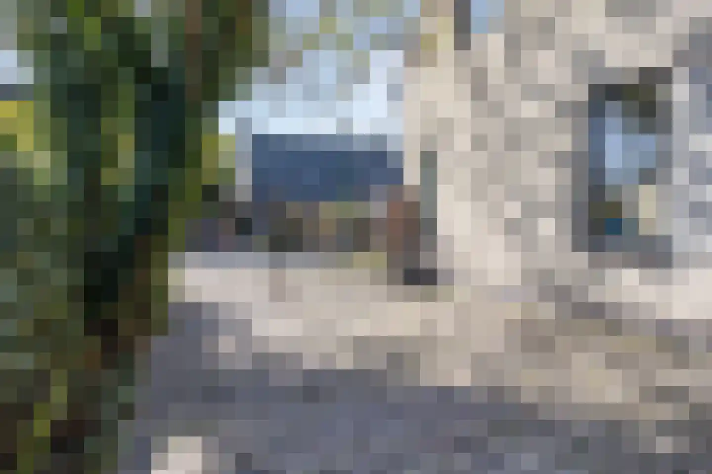 Voorderstraat 1 Riethoven thumbnail 54