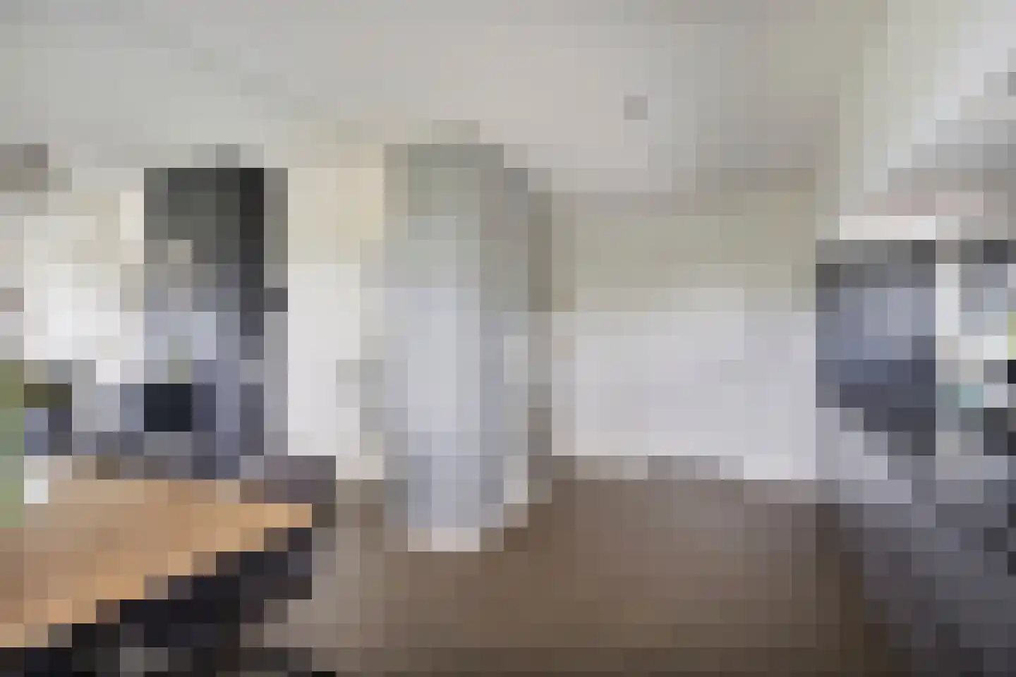 Voordesdijk 1 Markelo thumbnail 15