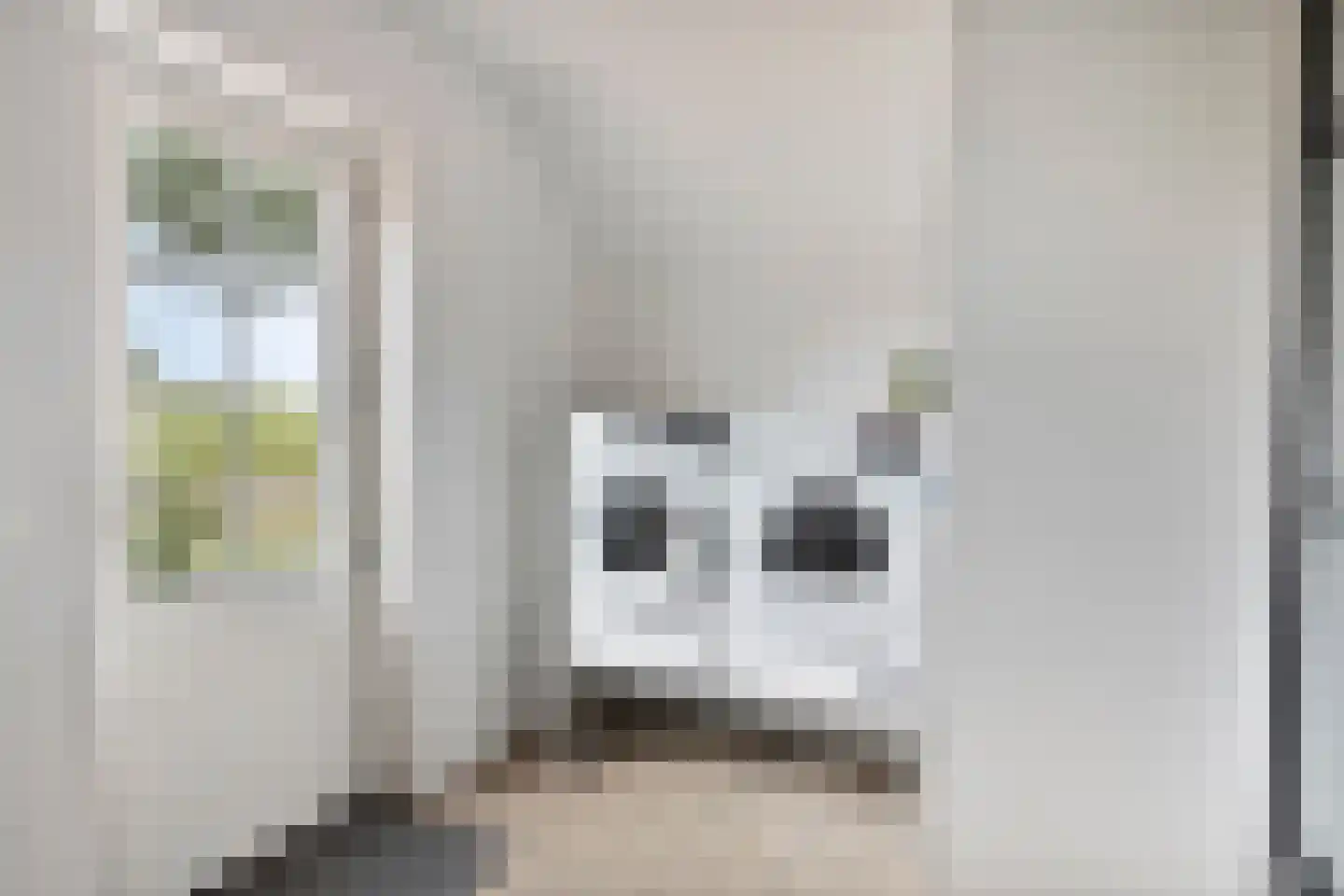 Voordesdijk 1 Markelo thumbnail 18