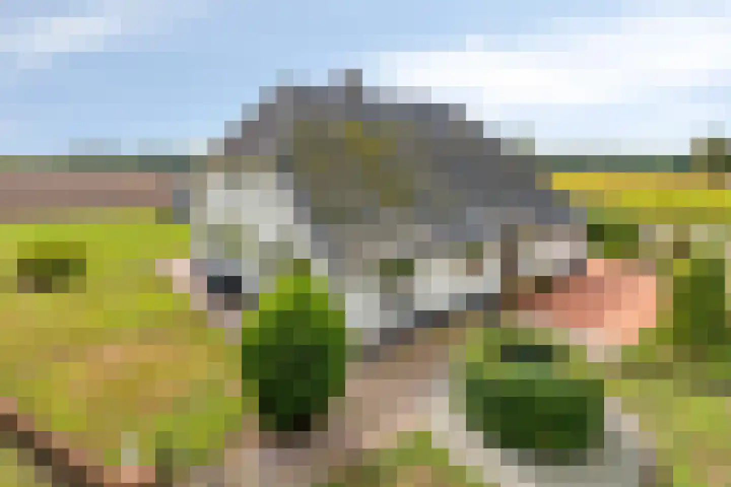 Voordesdijk 1 Markelo foto 2