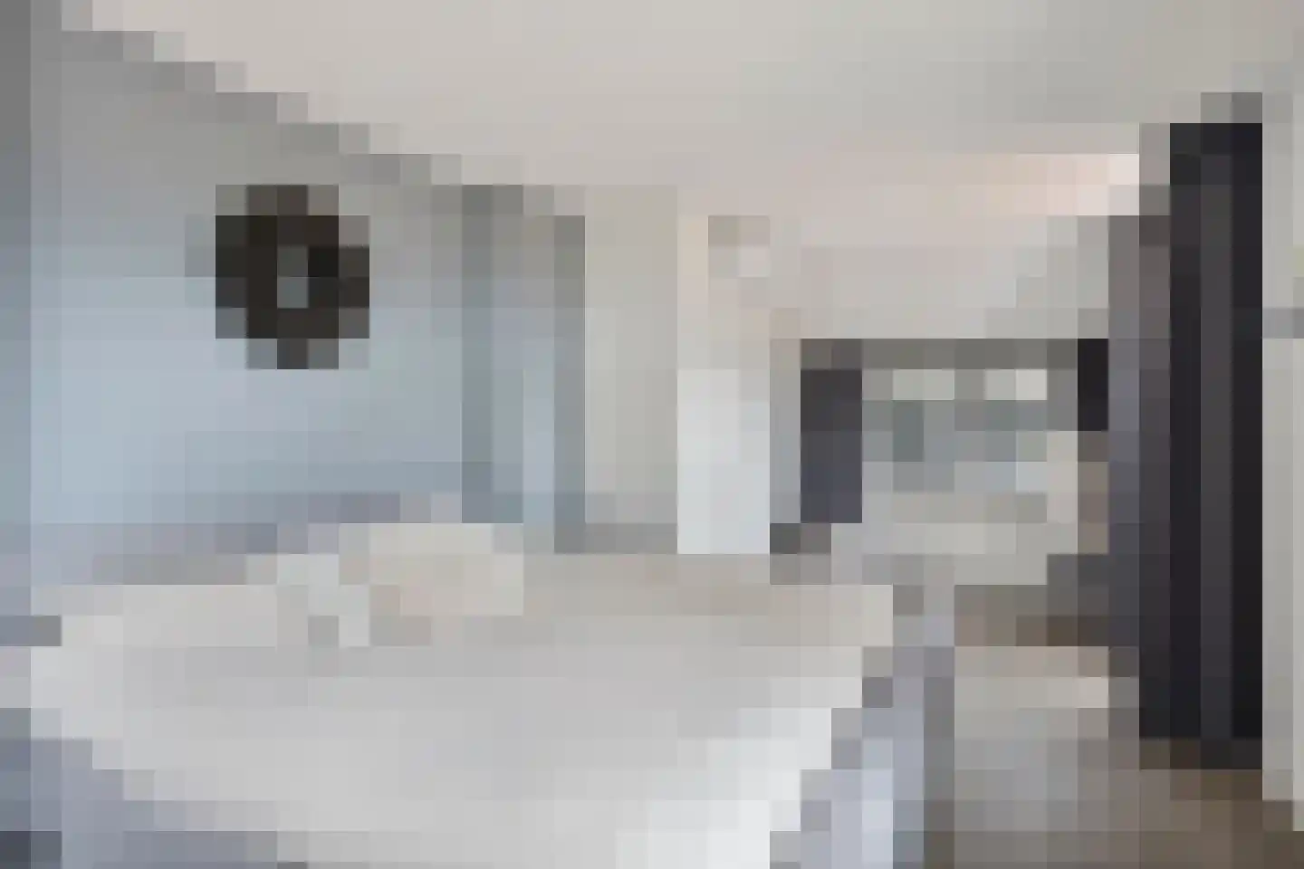 Voordesdijk 1 Markelo thumbnail 20