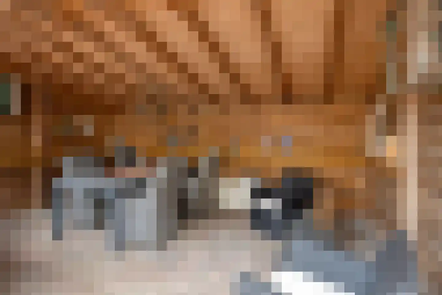 Voordesdijk 1 Markelo thumbnail 35