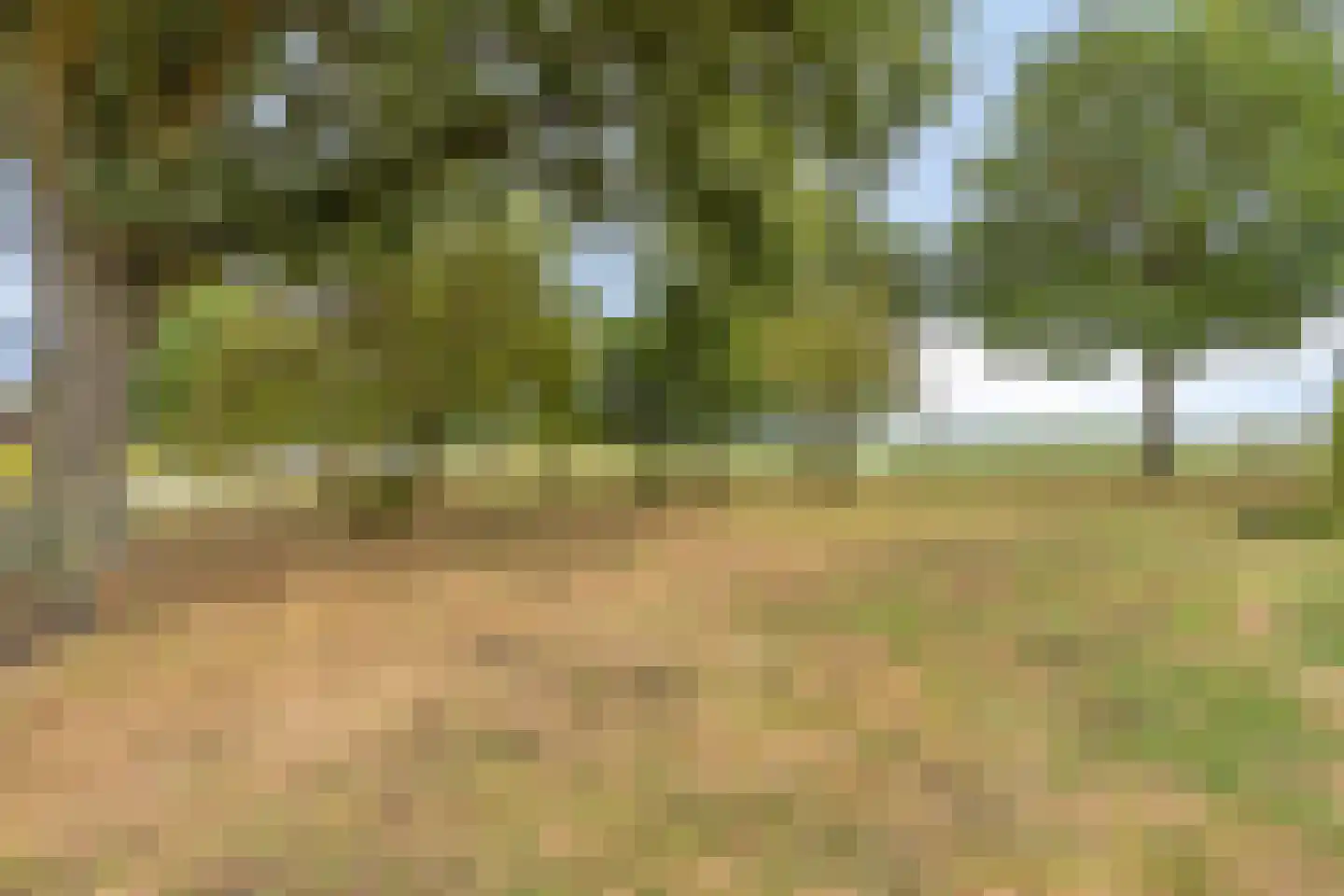 Voordesdijk 1 Markelo thumbnail 45