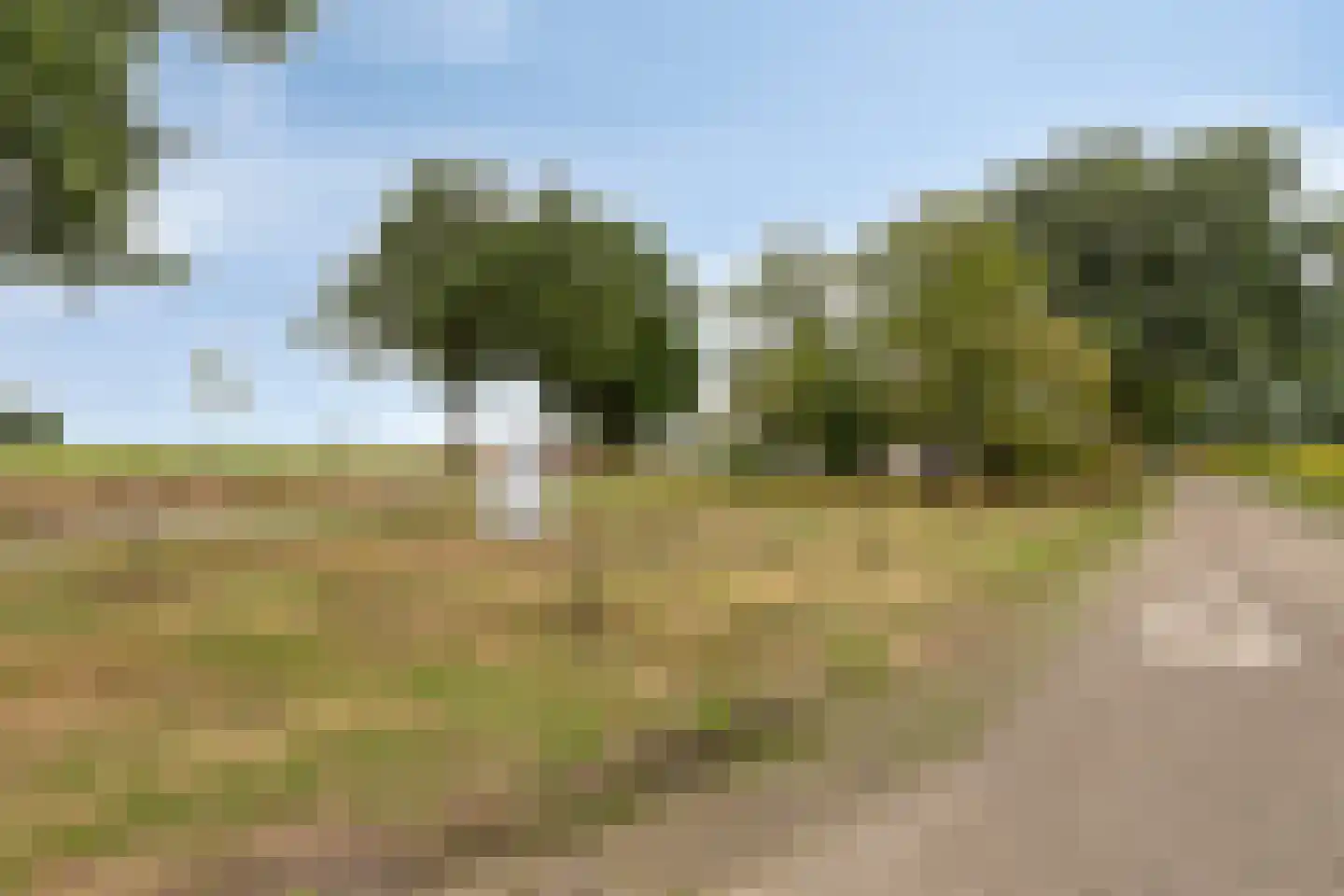 Voordesdijk 1 Markelo thumbnail 46