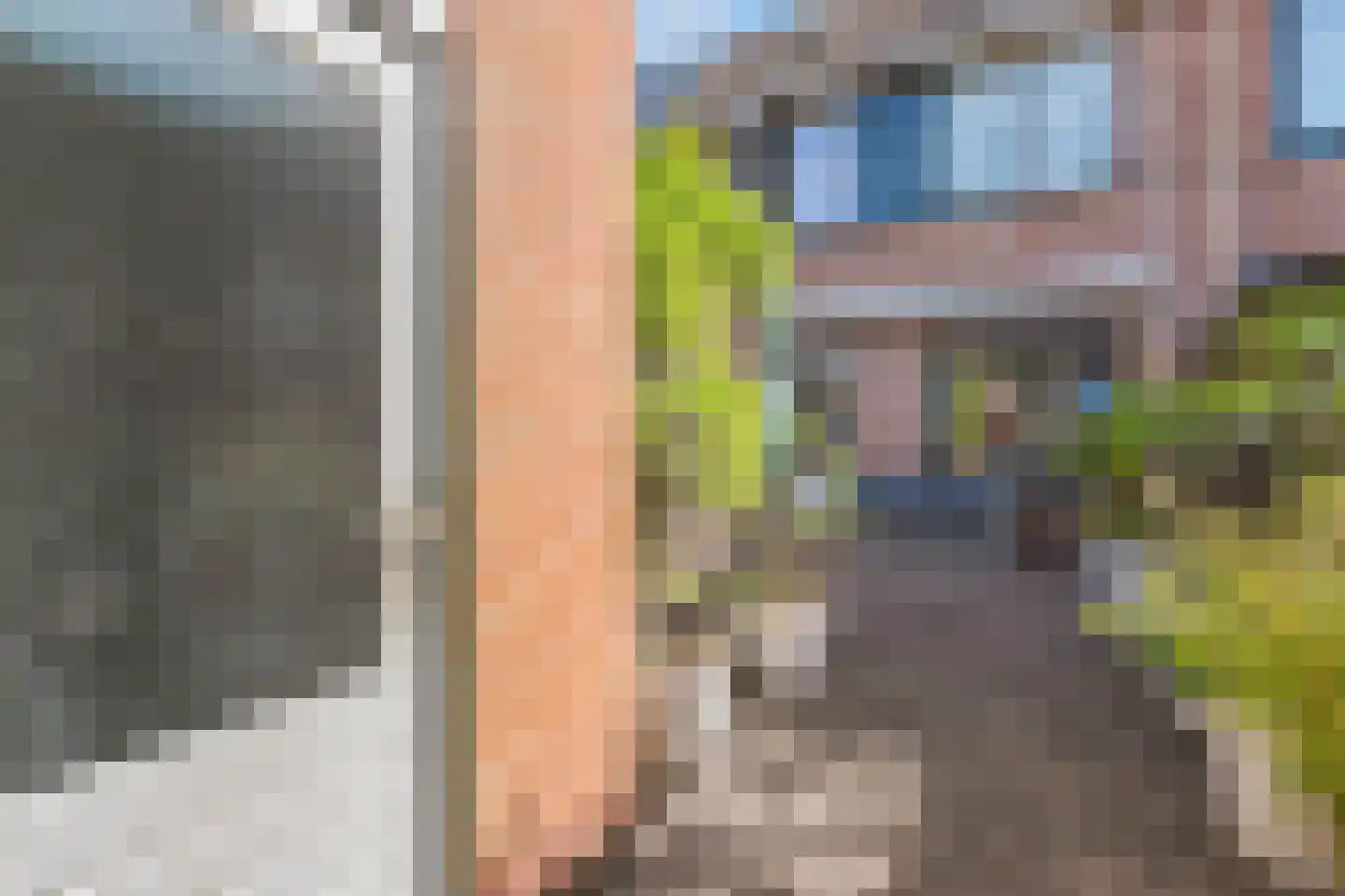 Voordesingel 12 Leidschendam thumbnail 12