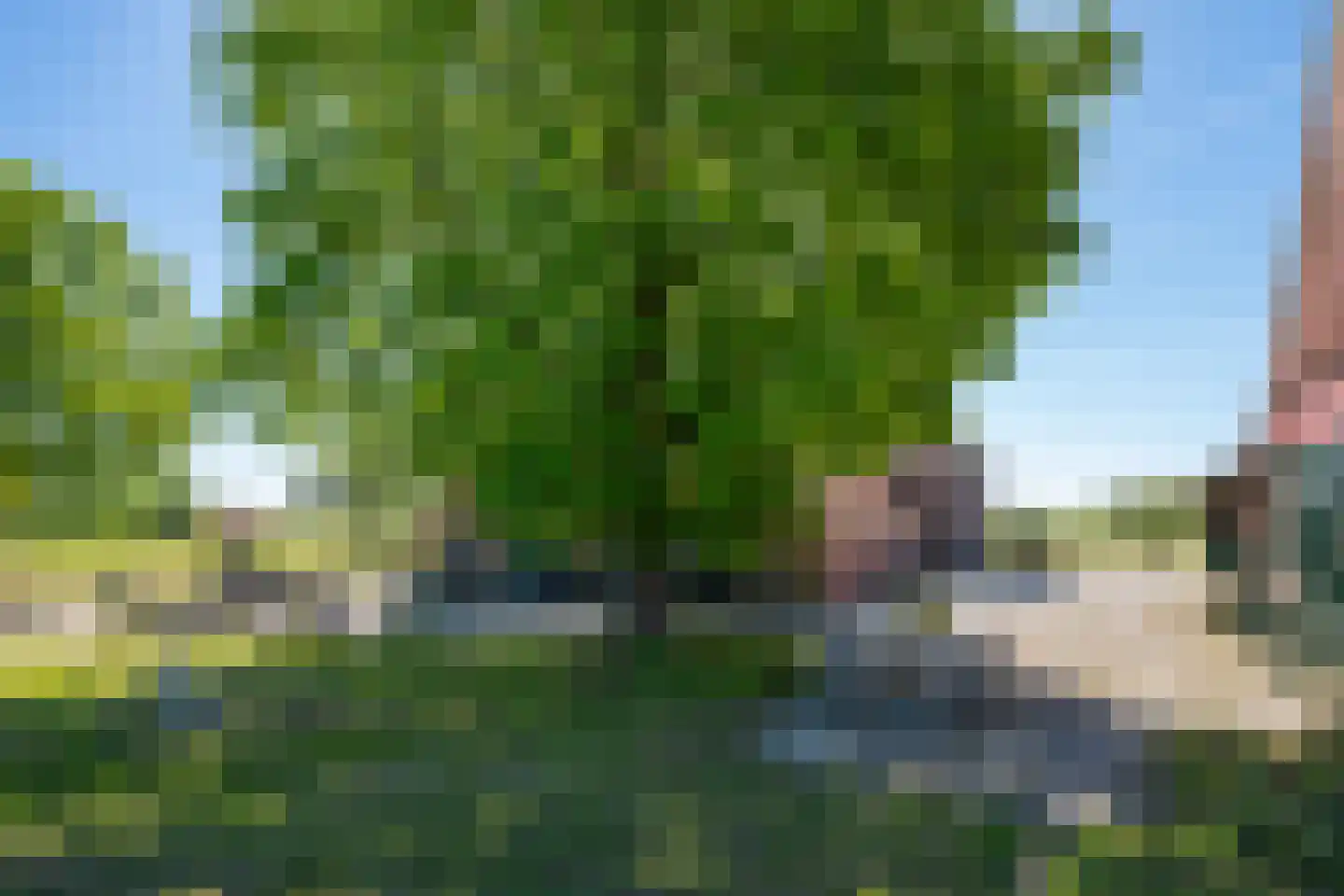 Voordeweg 2 Winterswijk Meddo thumbnail 19