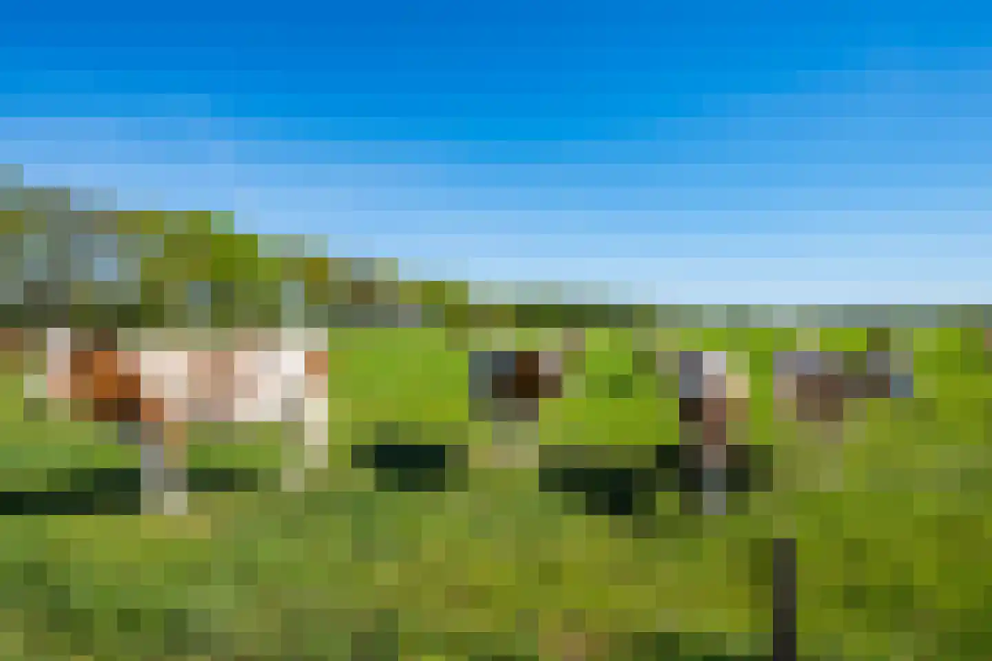 Voordeweg 2 Winterswijk Meddo thumbnail 24