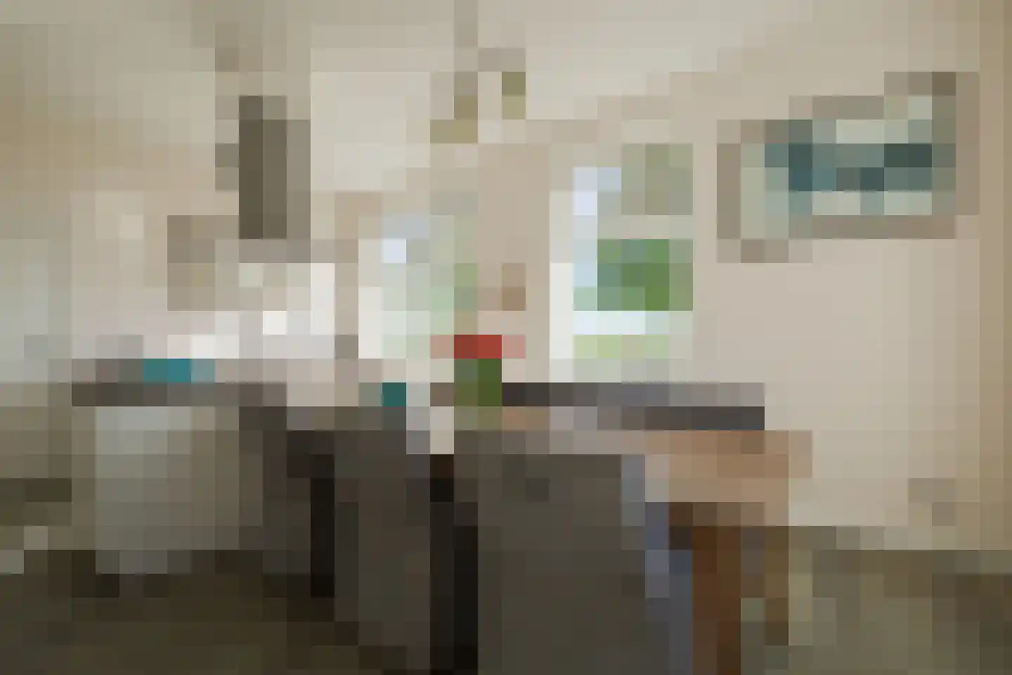 Voordeweg 2 Winterswijk Meddo thumbnail 37