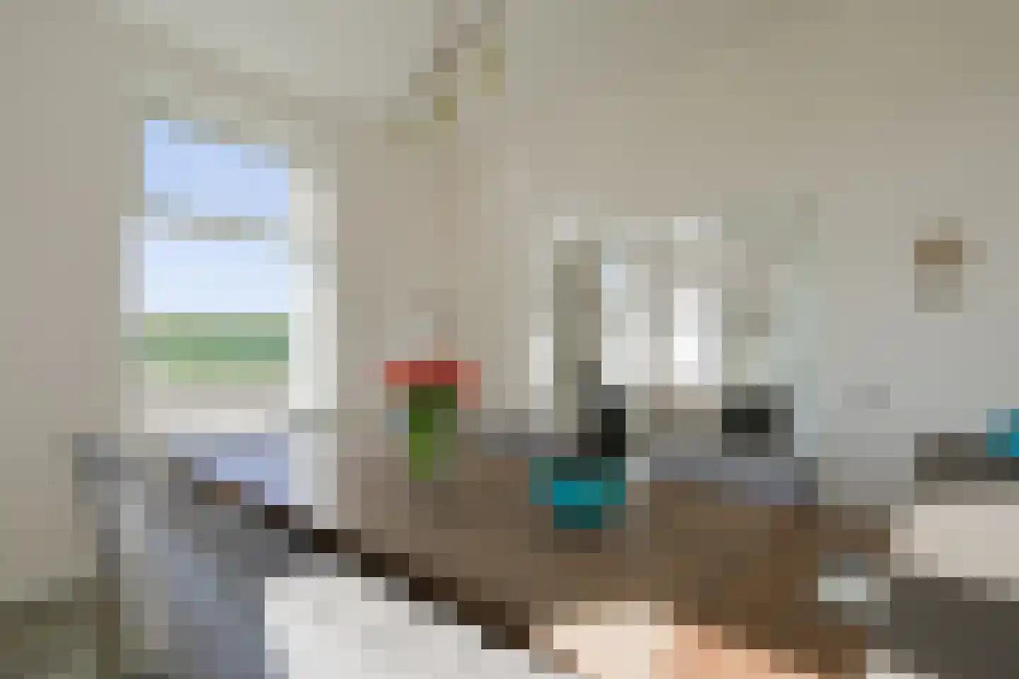 Voordeweg 2 Winterswijk Meddo thumbnail 41