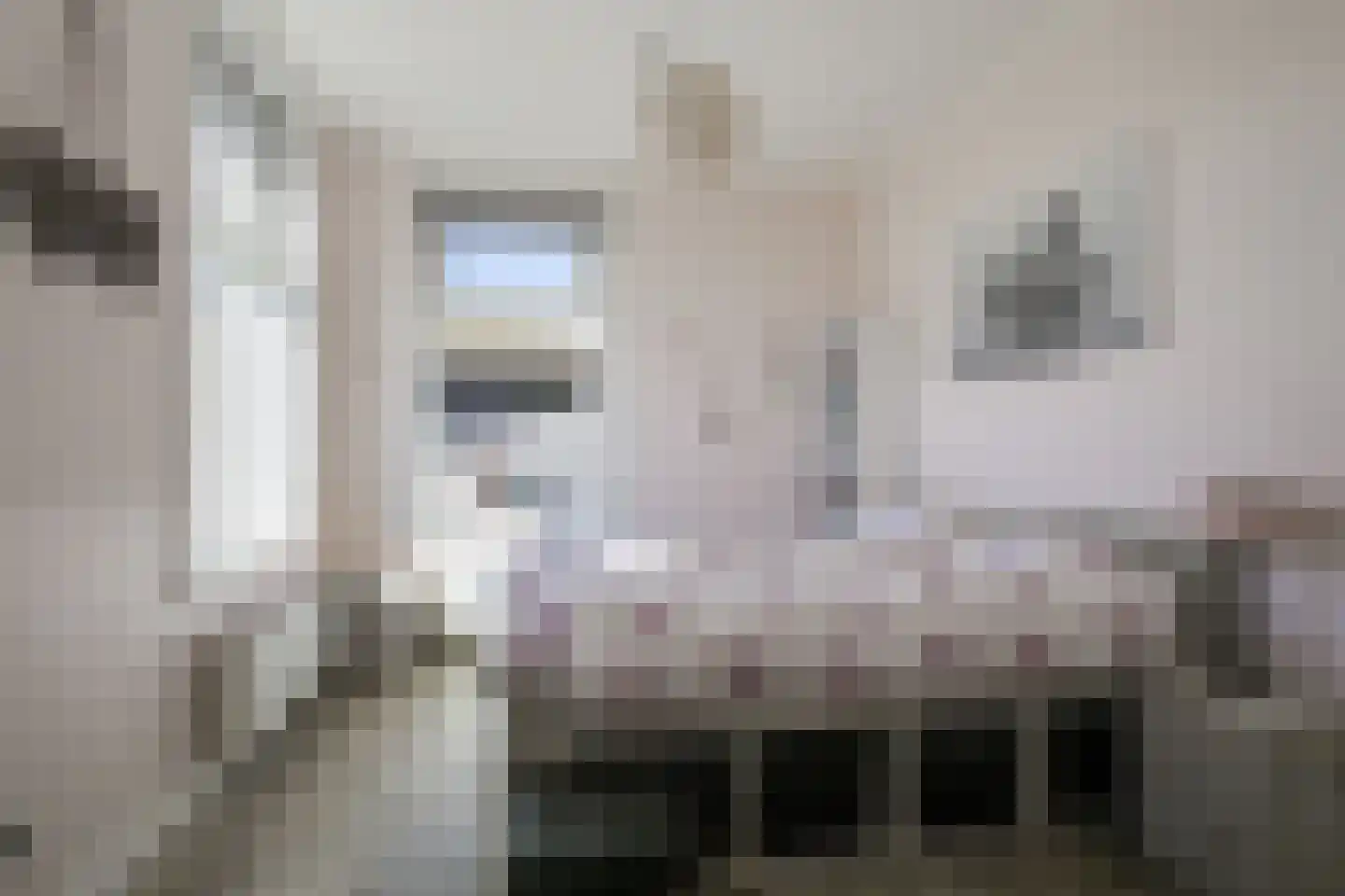 Voordeweg 2 Winterswijk Meddo thumbnail 42