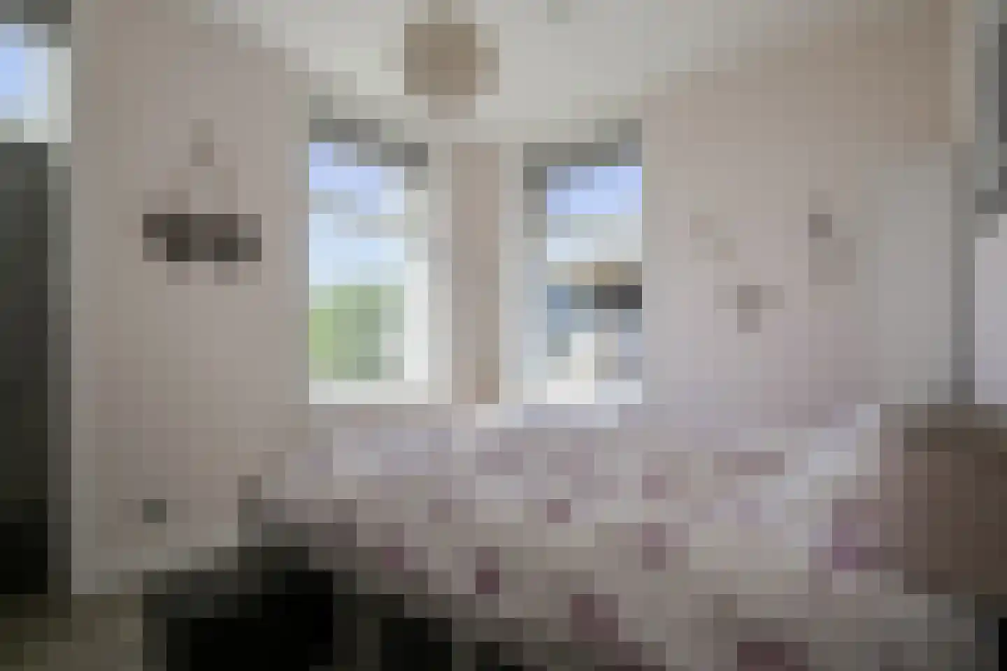 Voordeweg 2 Winterswijk Meddo thumbnail 43