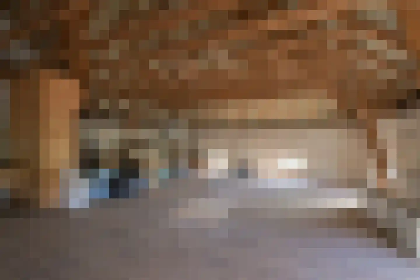 Voordeweg 2 Winterswijk Meddo thumbnail 53