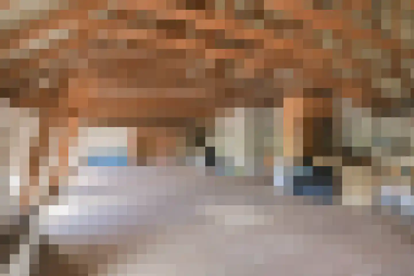 Voordeweg 2 Winterswijk Meddo thumbnail 54