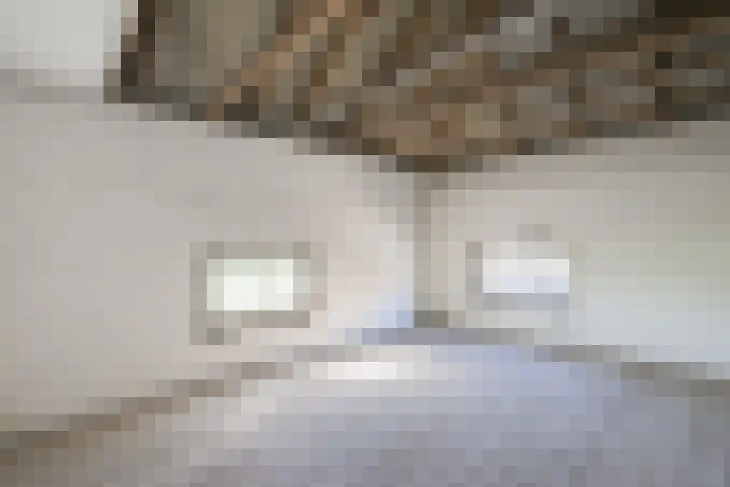 Voordeweg 2 Winterswijk Meddo thumbnail 56