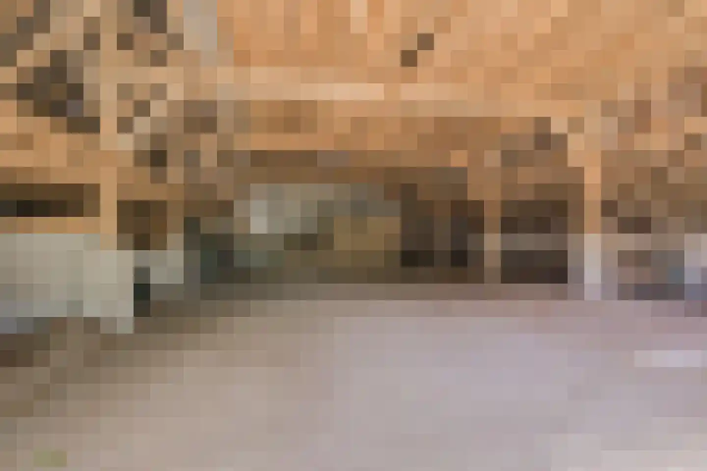 Voordeweg 2 Winterswijk Meddo thumbnail 61