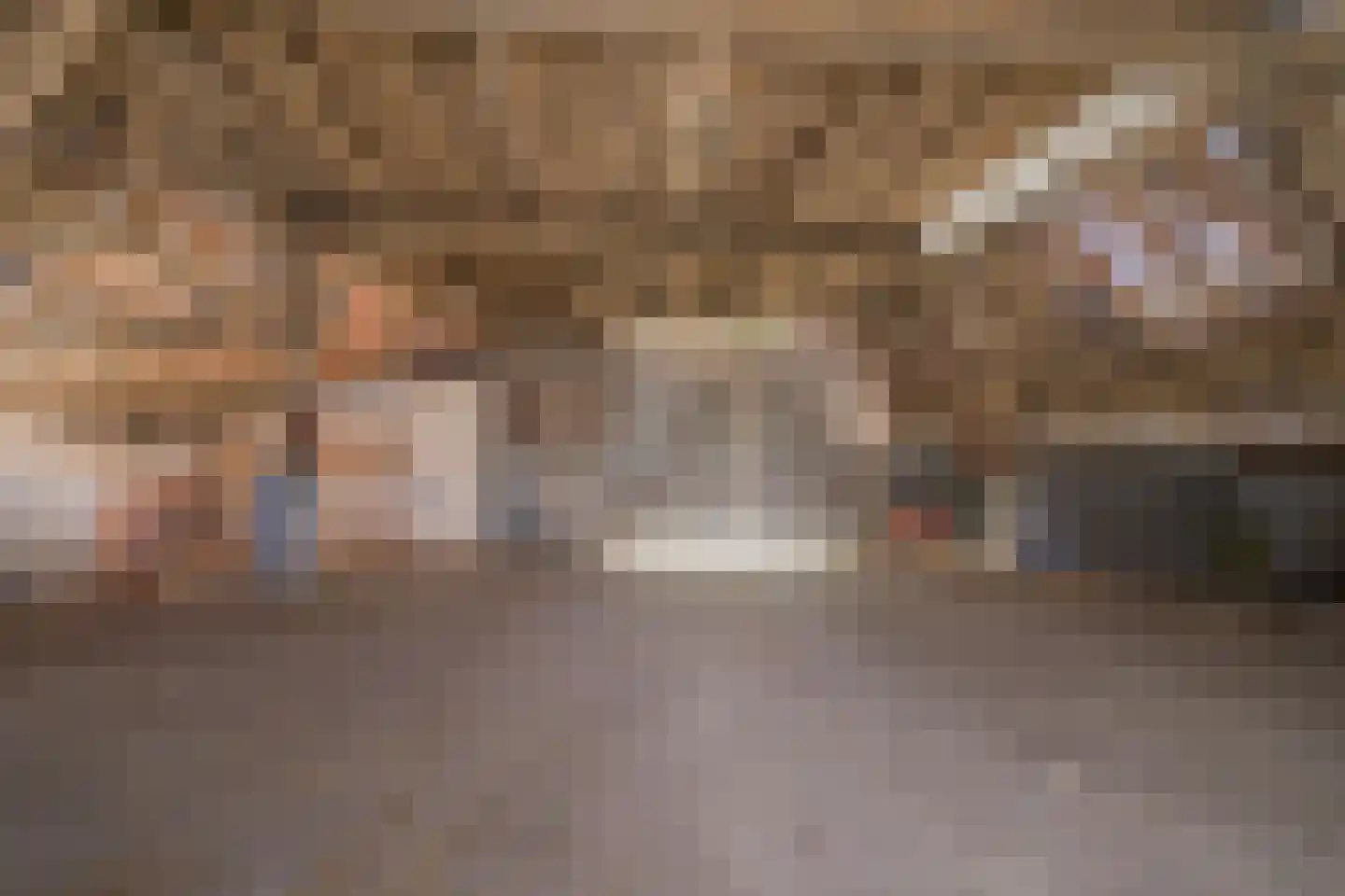 Voordeweg 2 Winterswijk Meddo thumbnail 62