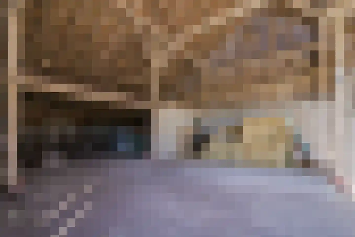 Voordeweg 2 Winterswijk Meddo thumbnail 63