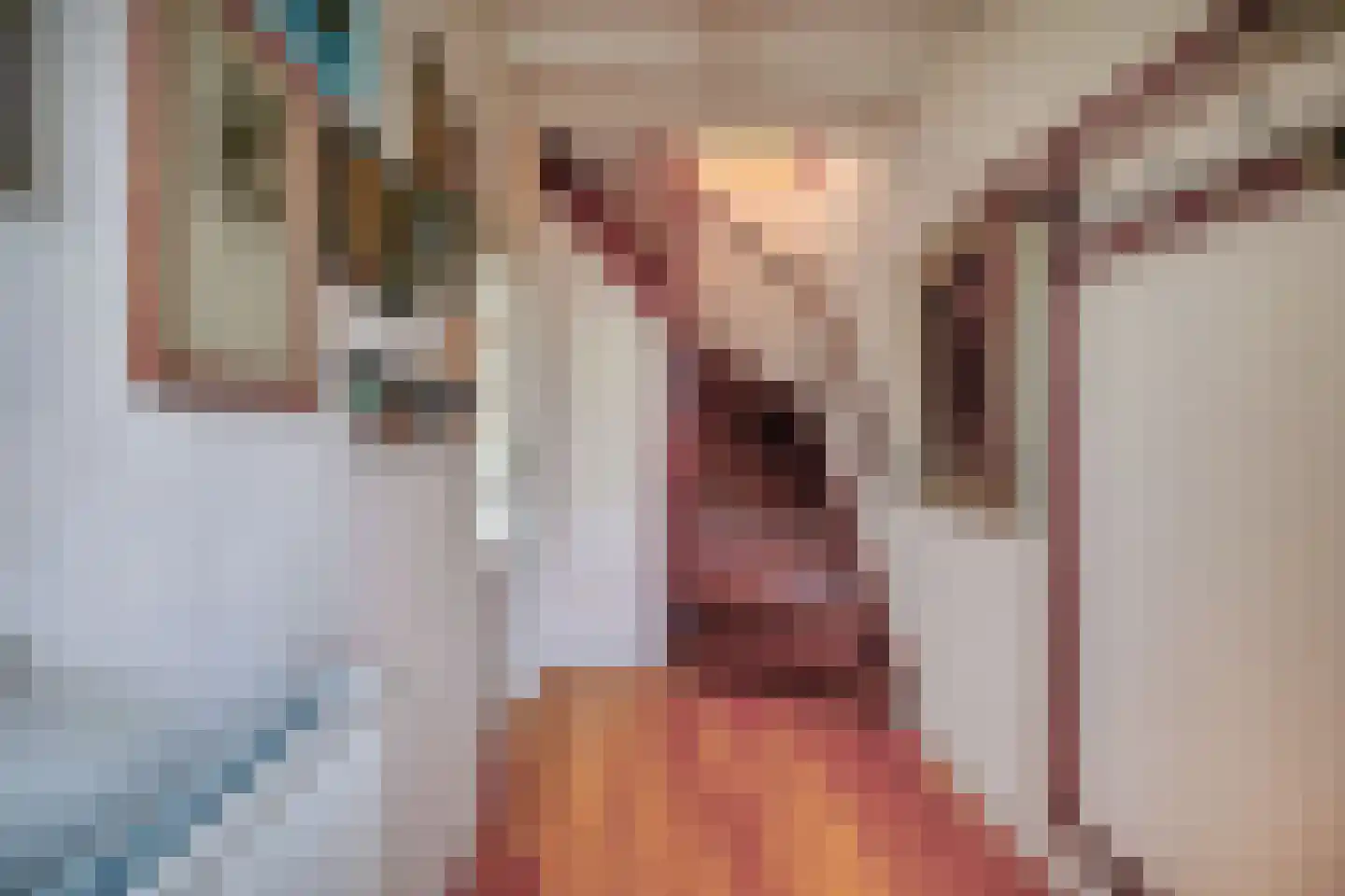 Voordewind 4 Amsterdam thumbnail 16