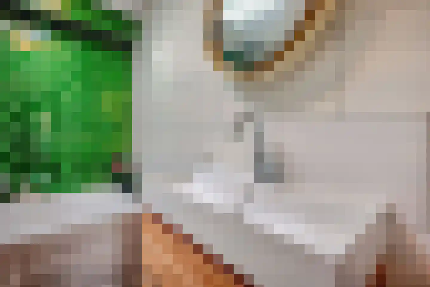 Voordewind 4 Amsterdam thumbnail 24
