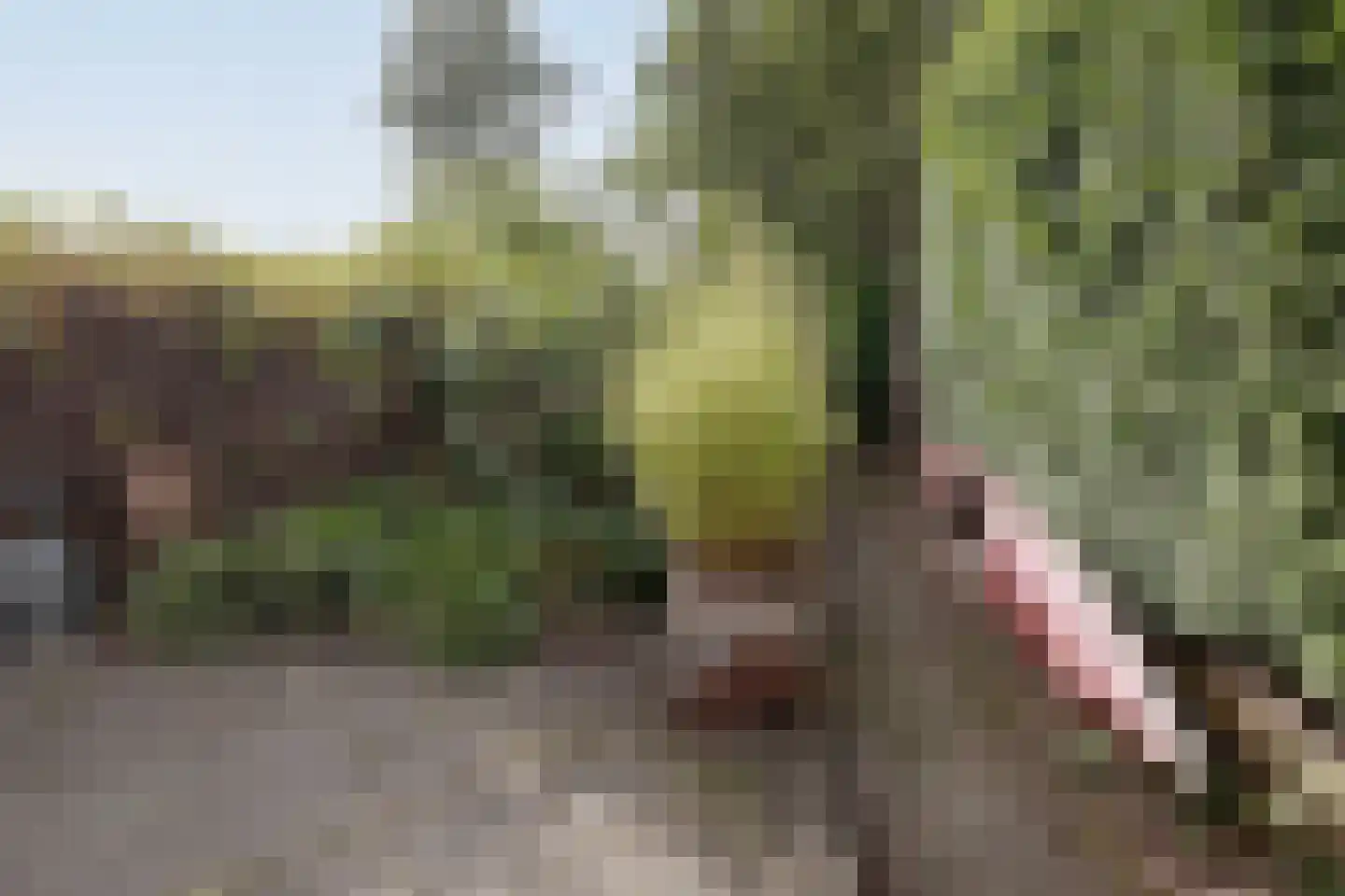 Voordewind 4 Amsterdam thumbnail 28