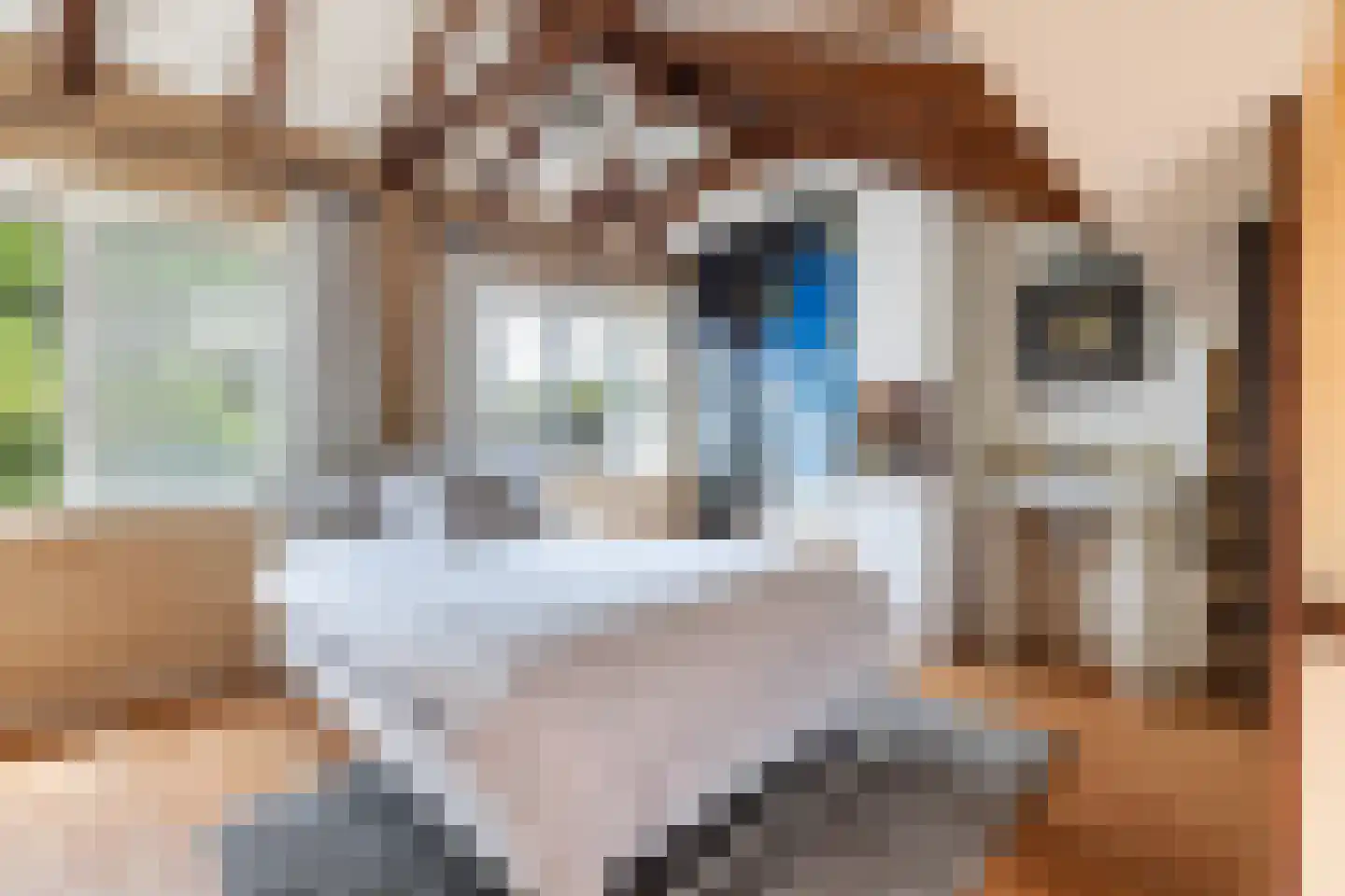 Voordewind 42 Amsterdam thumbnail 33