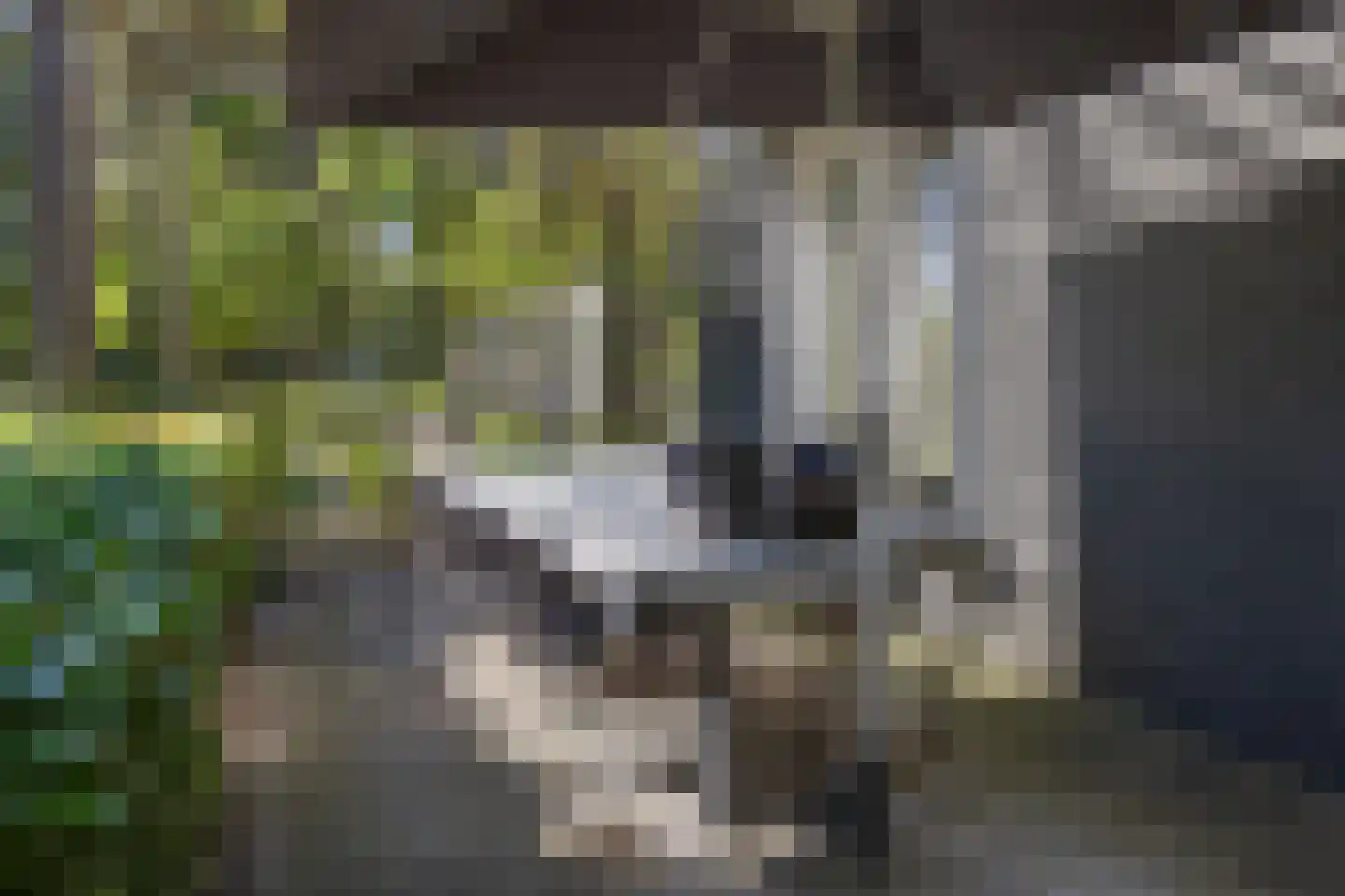 Voordijk 21 Vlijmen thumbnail 56