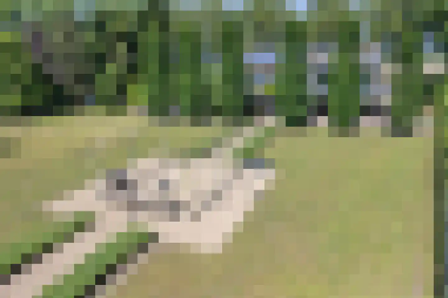 Voordijk 21 Vlijmen thumbnail 63