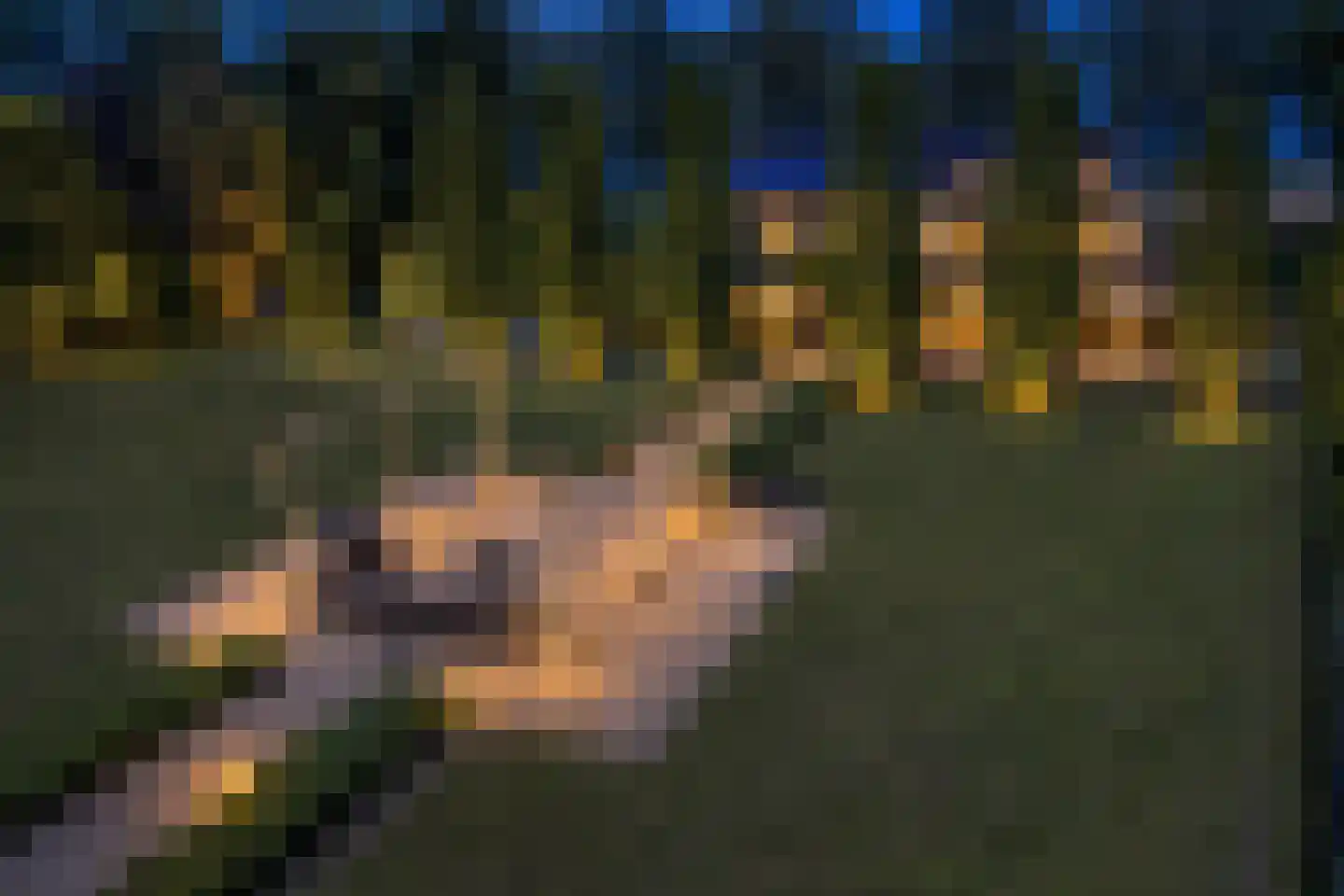 Voordijk 21 Vlijmen thumbnail 8