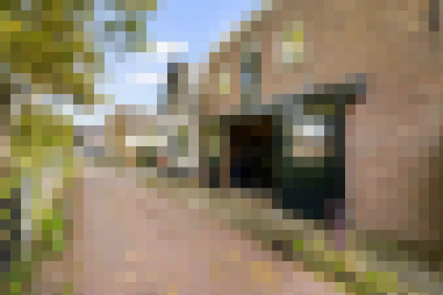Voordijk 37 Abcoude thumbnail 48