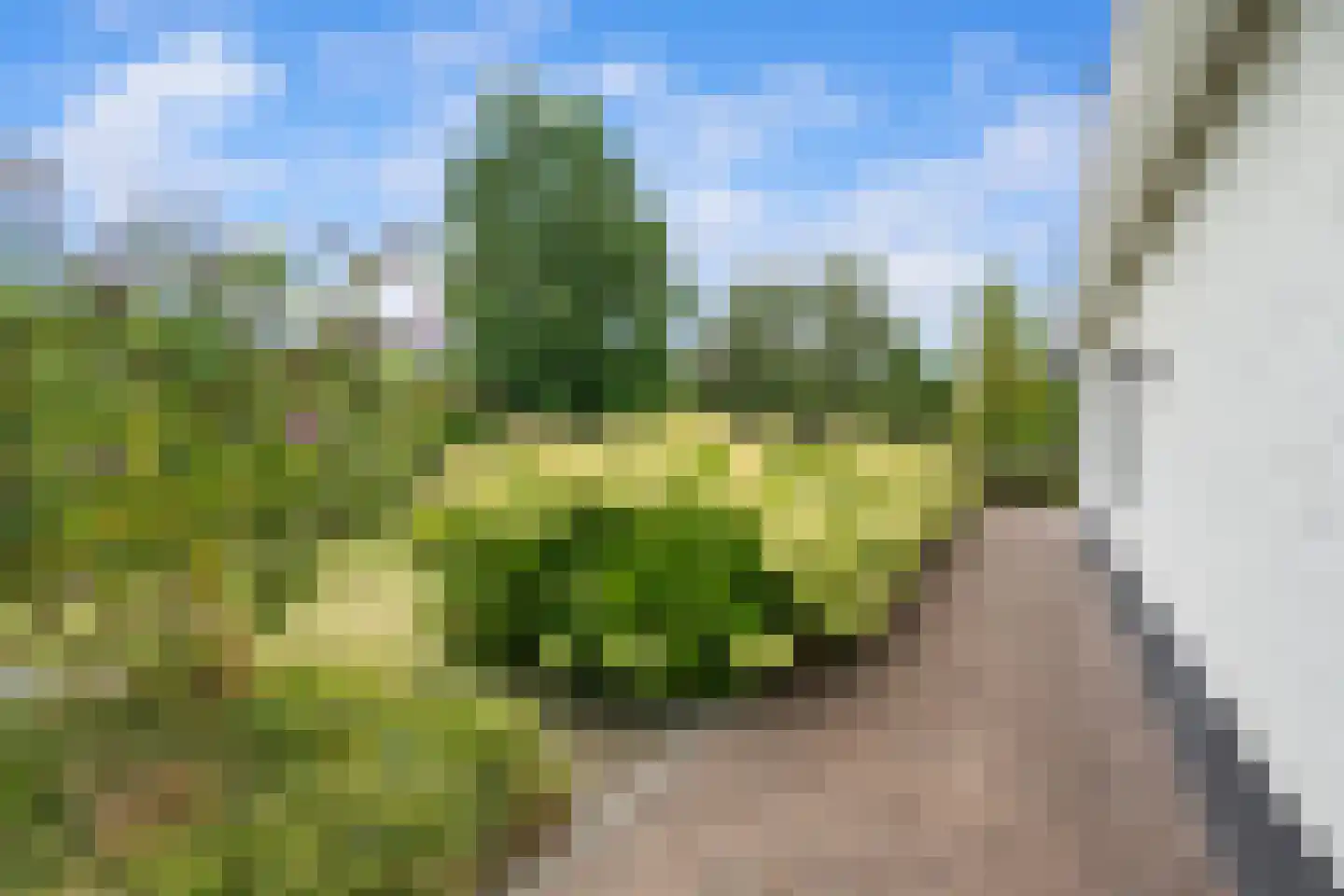 Voordijk 395 Barendrecht thumbnail 65