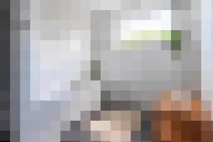 Voordijk 4 Schelluinen thumbnail 16