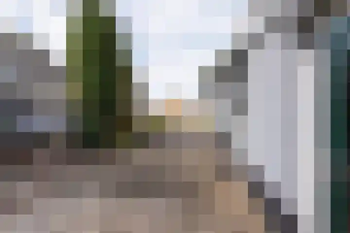Voordijk 4 Schelluinen thumbnail 21