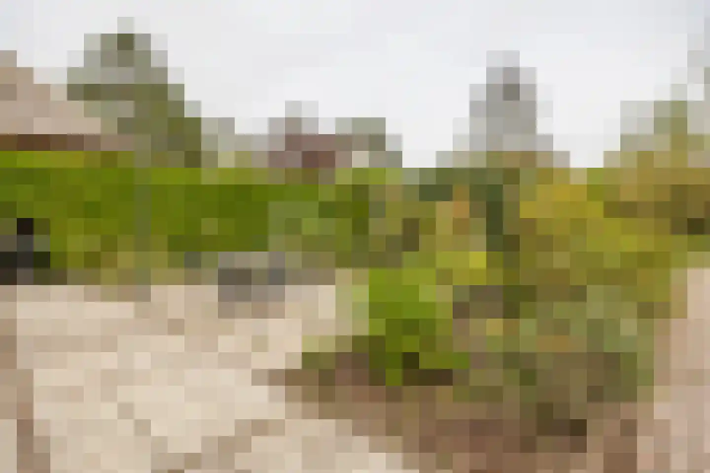 Voordijk 40 Schelluinen thumbnail 15