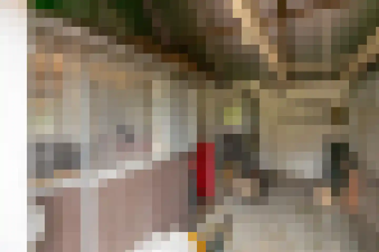 Voordijk 40 Schelluinen thumbnail 17