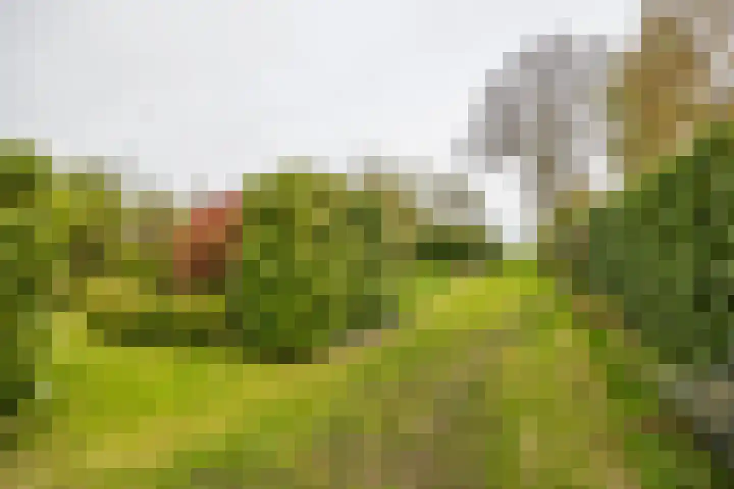 Voordijk 40 Schelluinen thumbnail 19