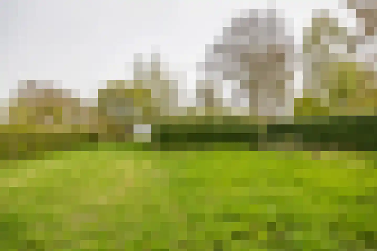 Voordijk 40 Schelluinen thumbnail 20