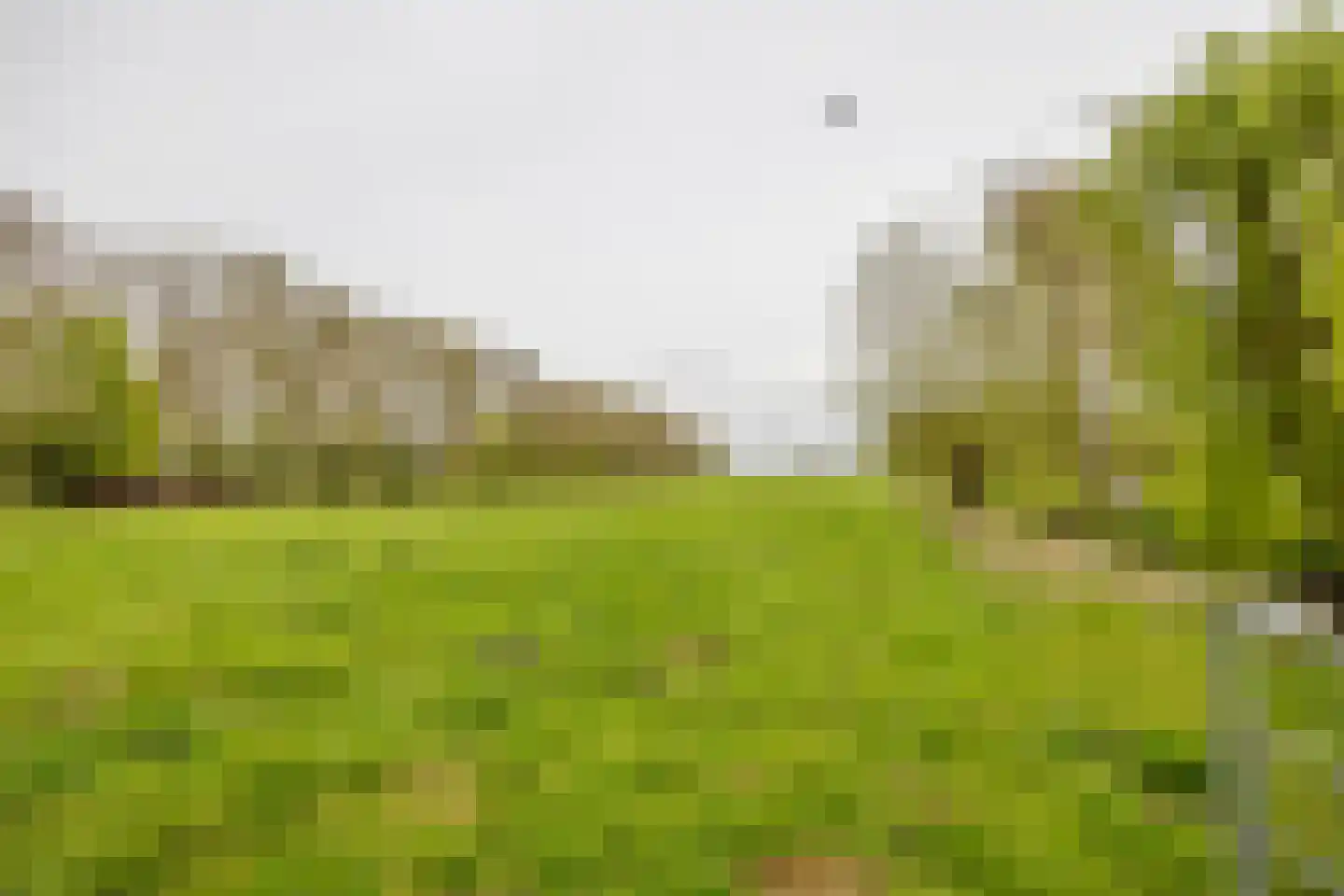 Voordijk 40 Schelluinen thumbnail 21