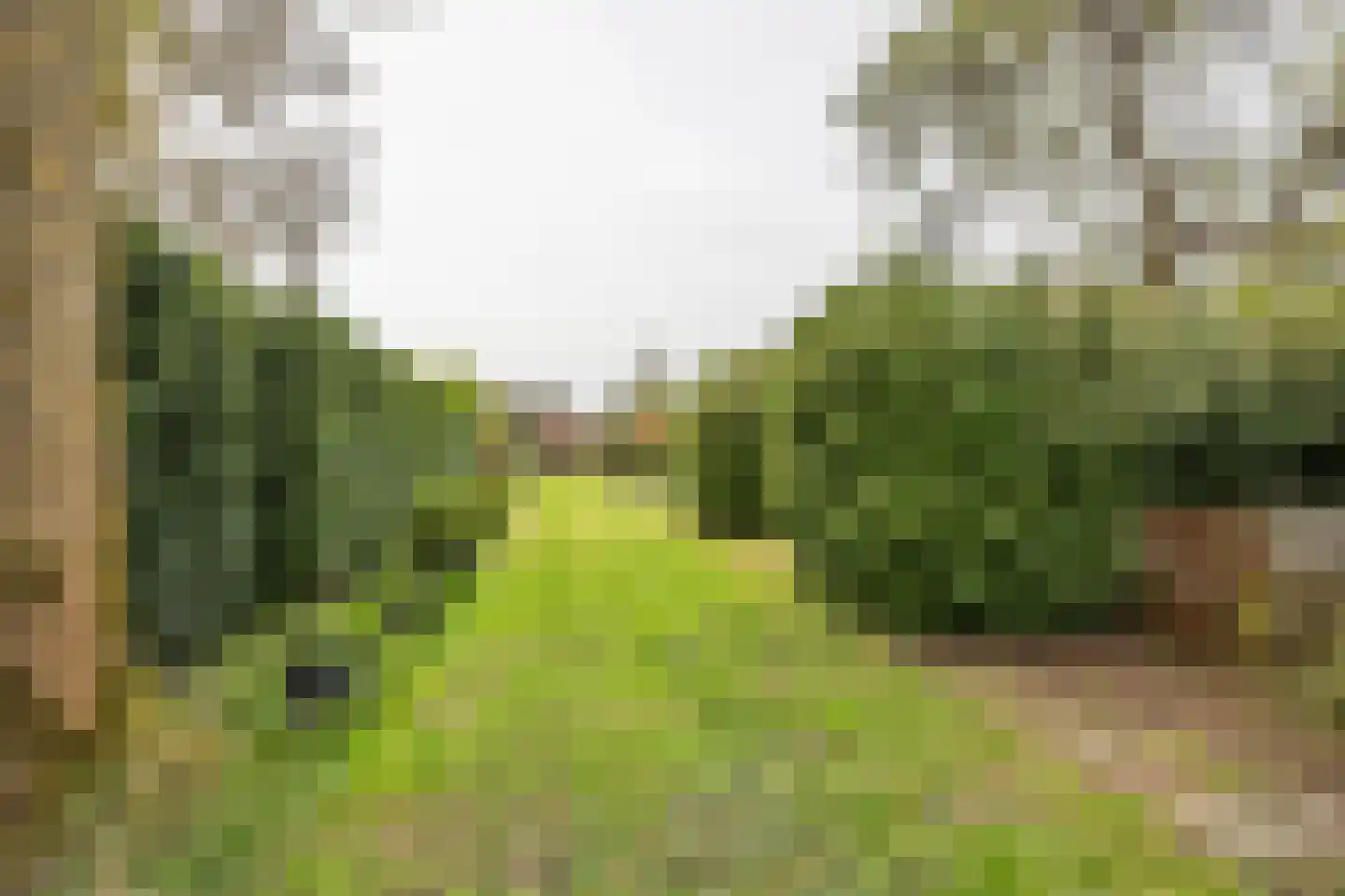 Voordijk 40 Schelluinen thumbnail 22