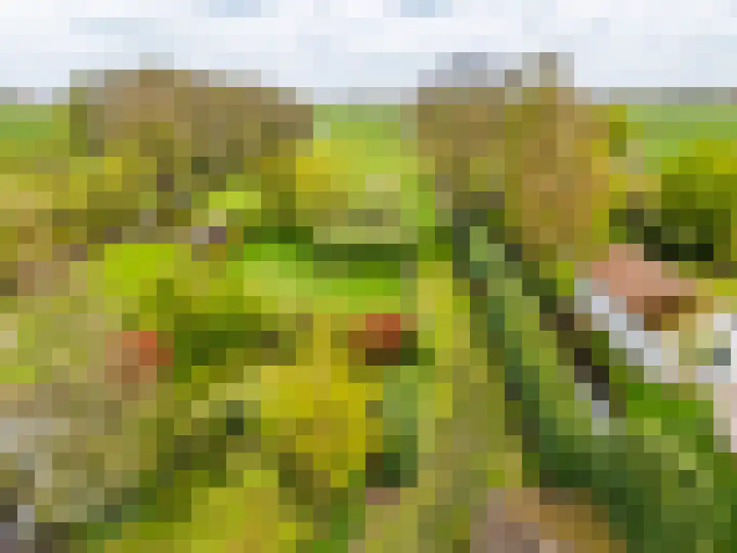 Voordijk 40 Schelluinen thumbnail 23