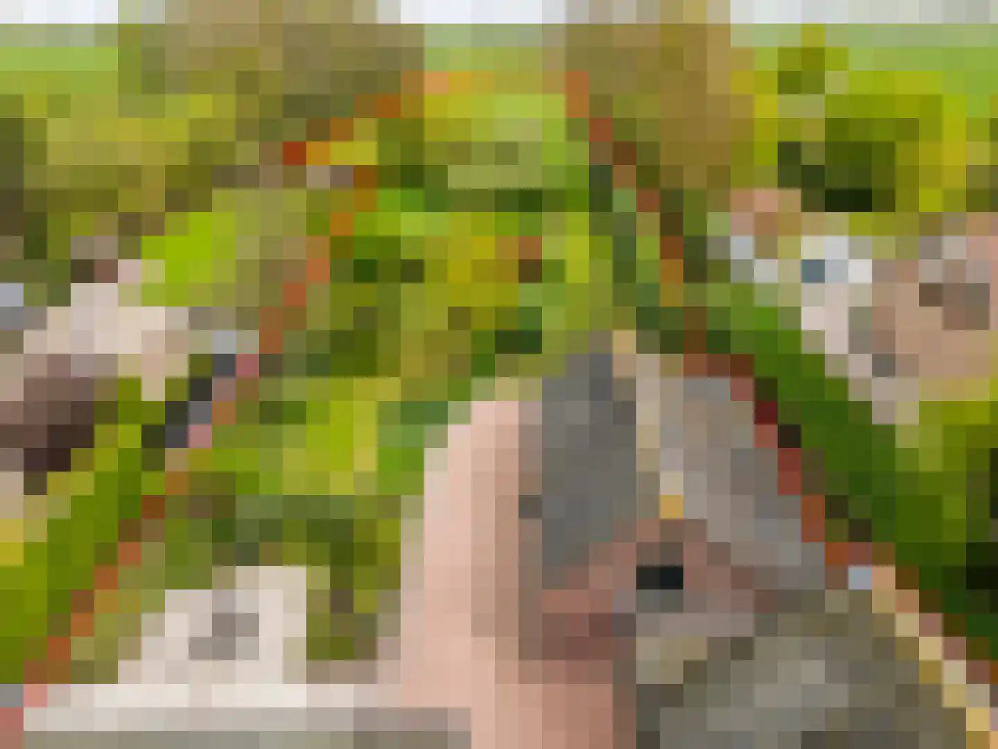 Voordijk 40 Schelluinen thumbnail 4