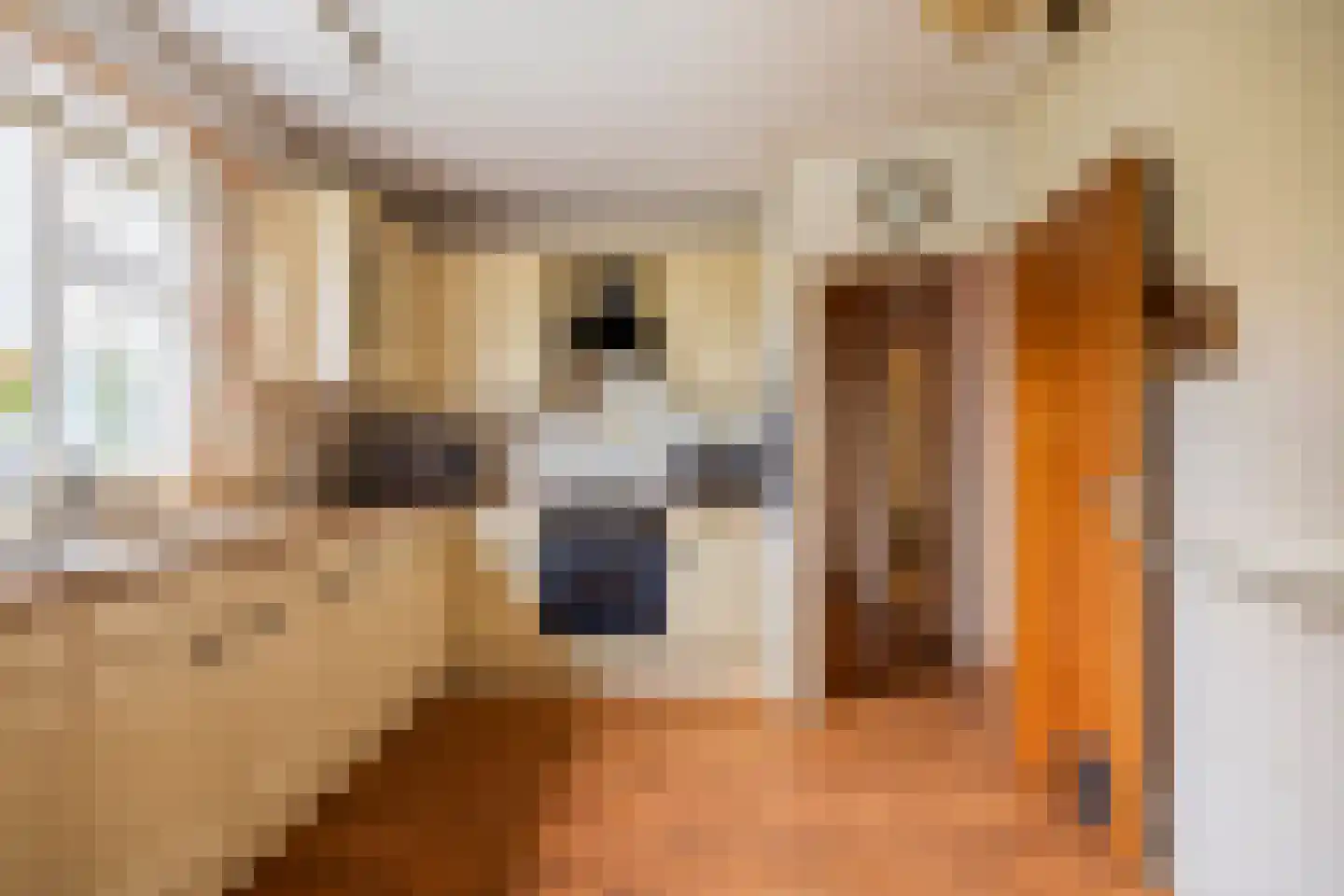Voordijk 40 Schelluinen thumbnail 7
