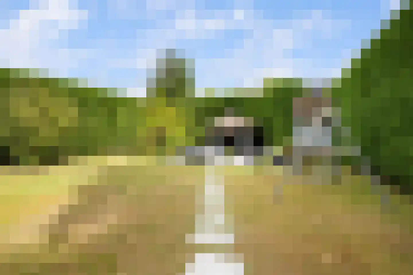 Voordijk 412 Barendrecht thumbnail 4