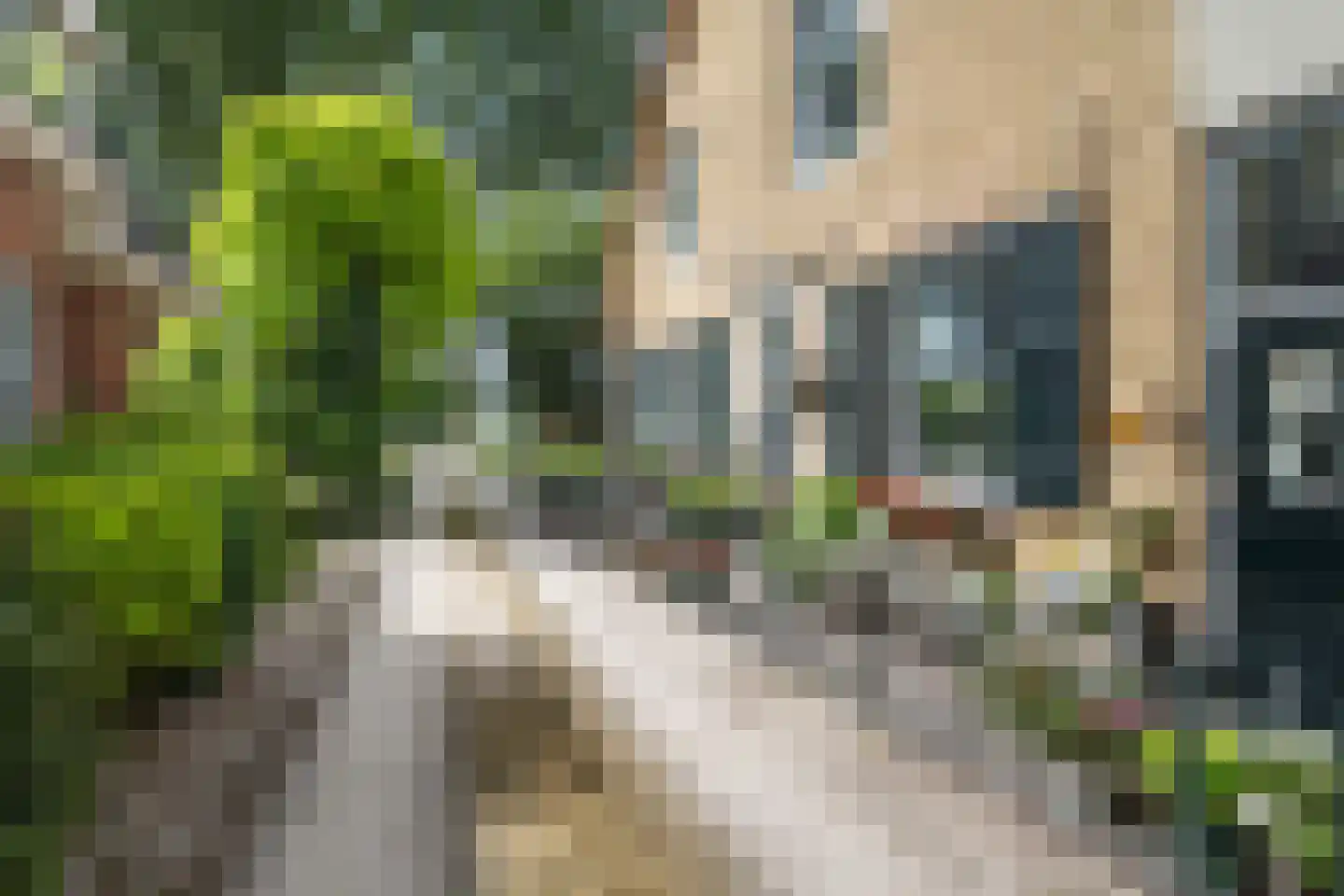 Voordijk 412 Barendrecht thumbnail 8