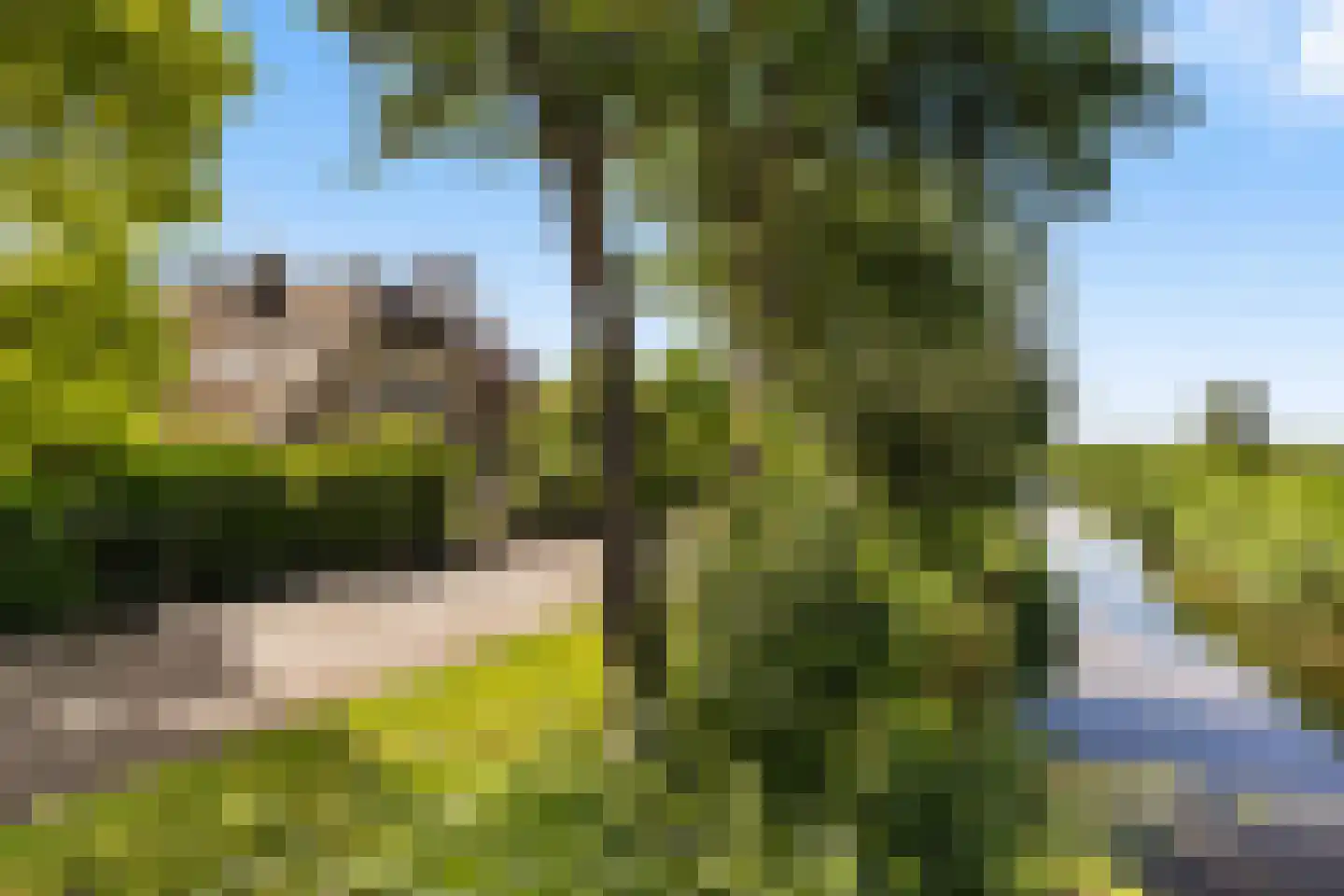 Voordijk 42 Schelluinen thumbnail 12