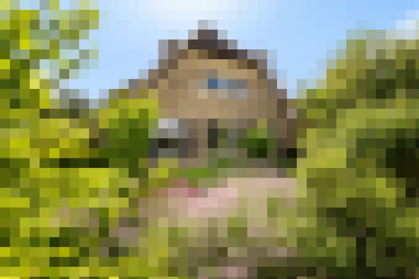 Voordijk 42 Schelluinen thumbnail 13