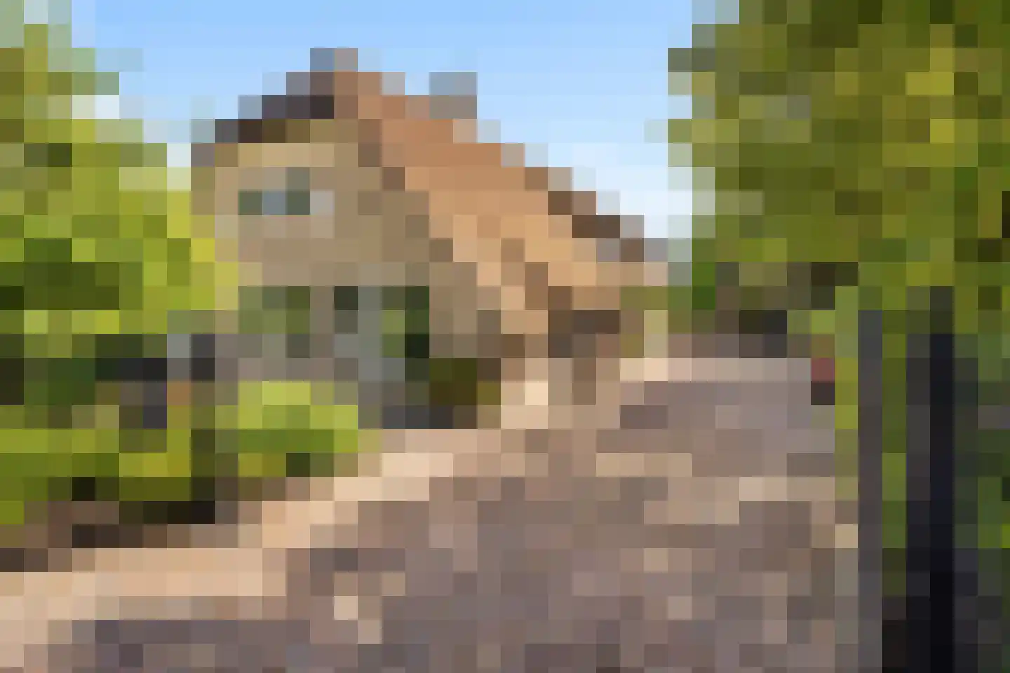 Voordijk 42 Schelluinen thumbnail 14