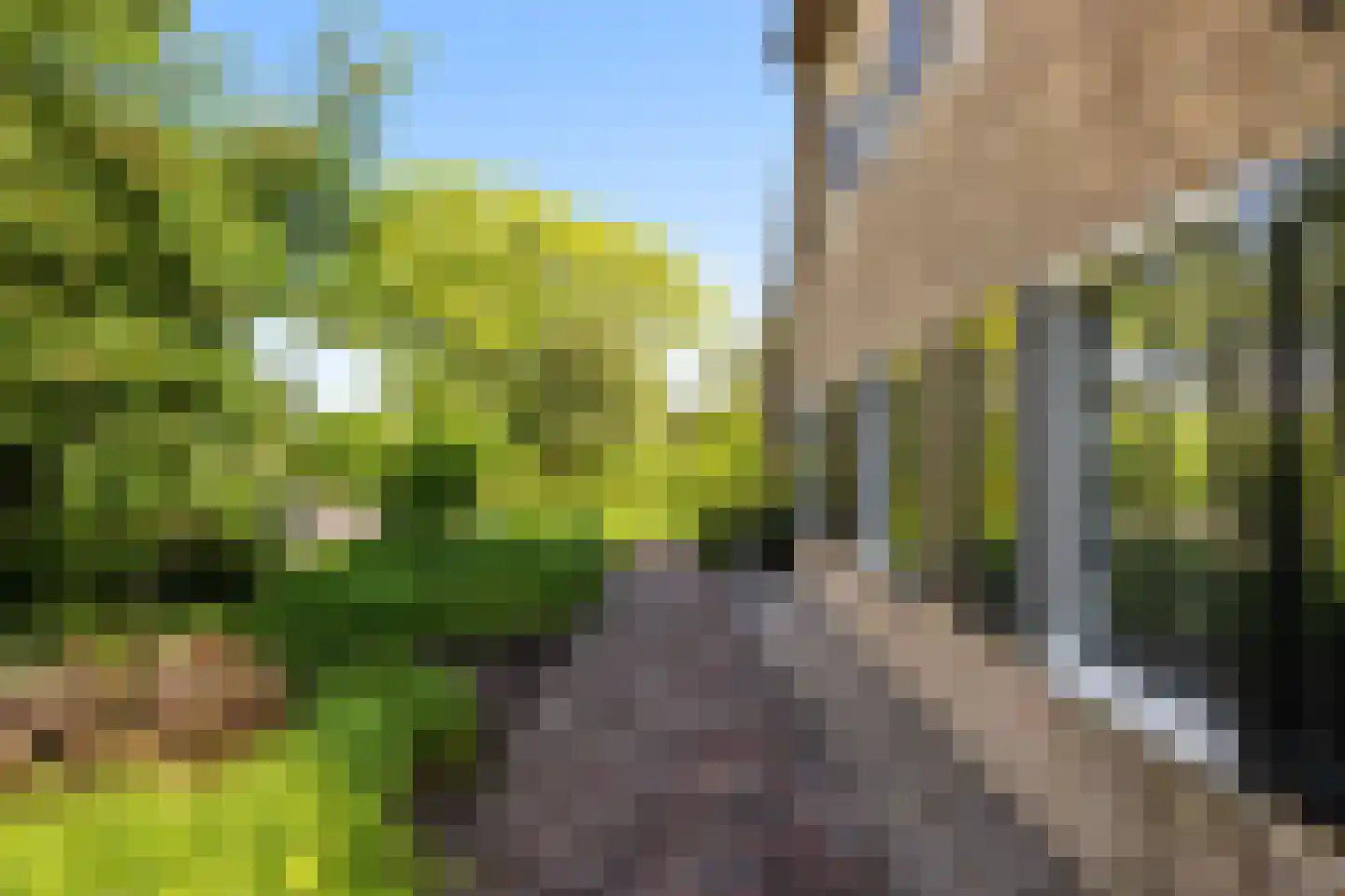 Voordijk 42 Schelluinen thumbnail 16
