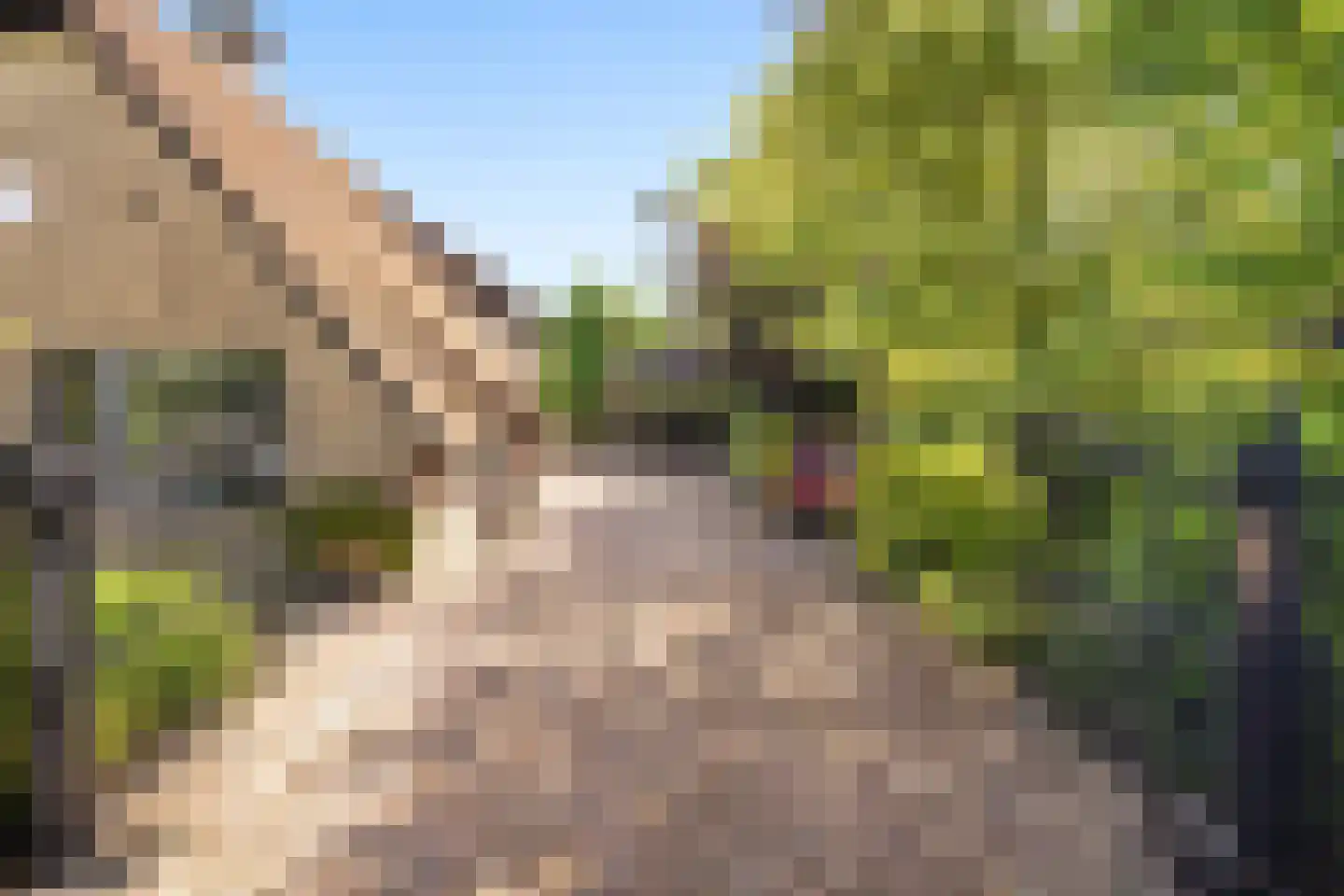 Voordijk 42 Schelluinen thumbnail 17