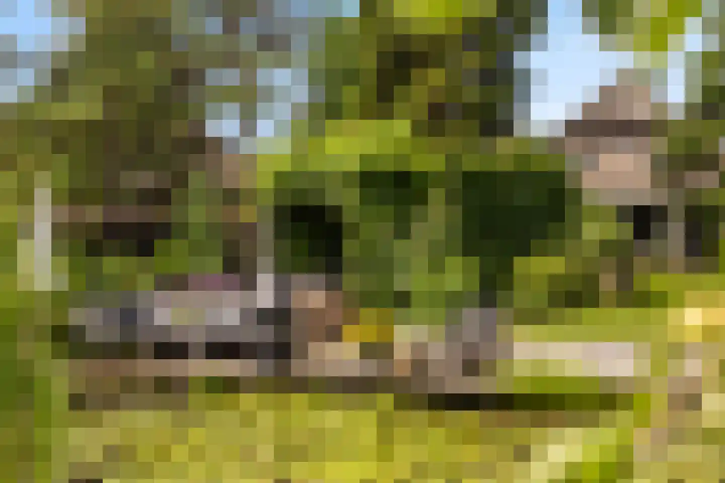 Voordijk 42 Schelluinen thumbnail 4